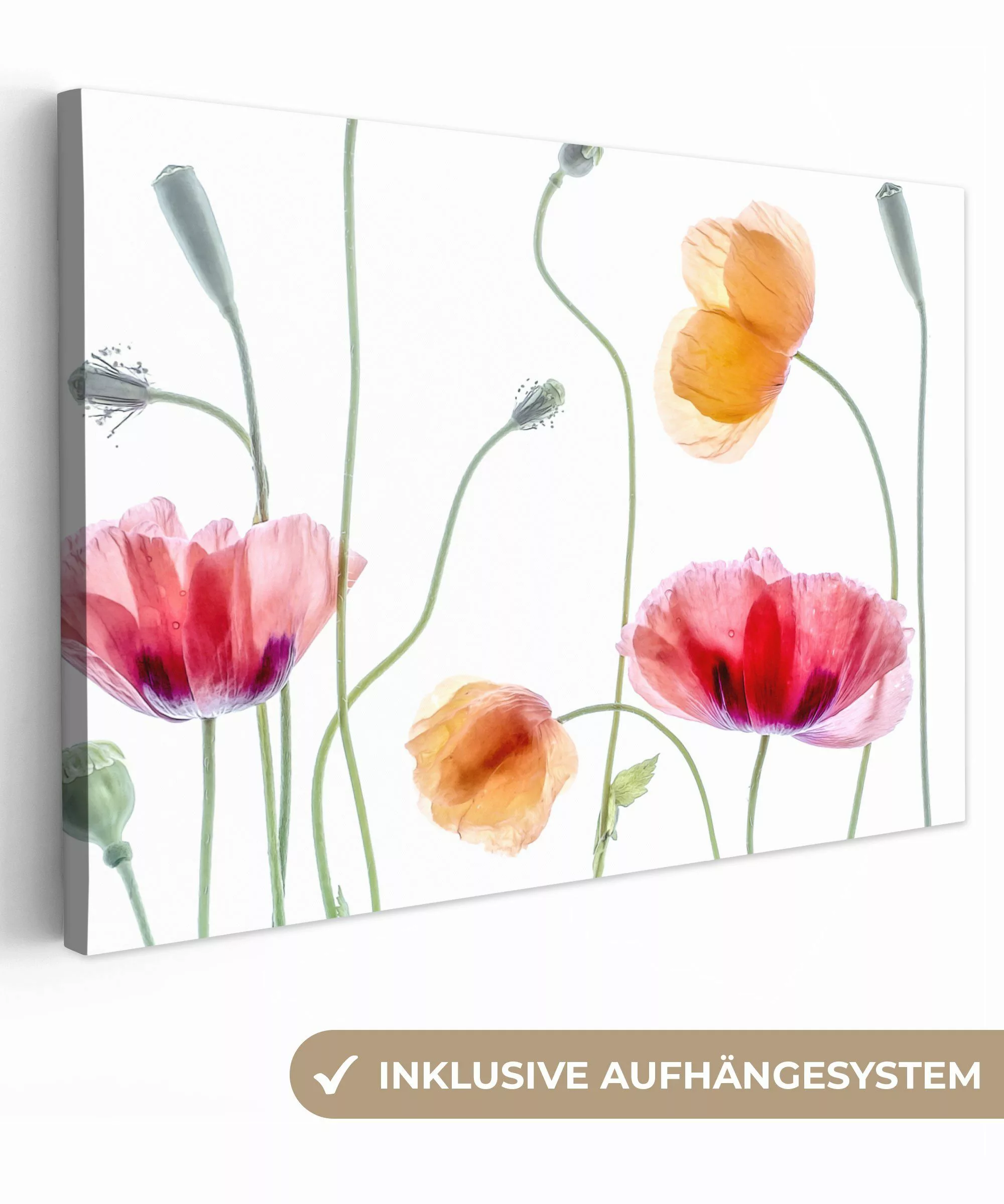 OneMillionCanvasses® Leinwandbild Mohn - Blumen - günstig online kaufen