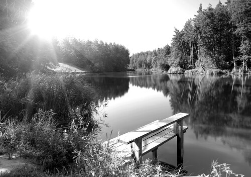 Papermoon Fototapete »Wald mir Fluss Schwarz & Weiß« günstig online kaufen