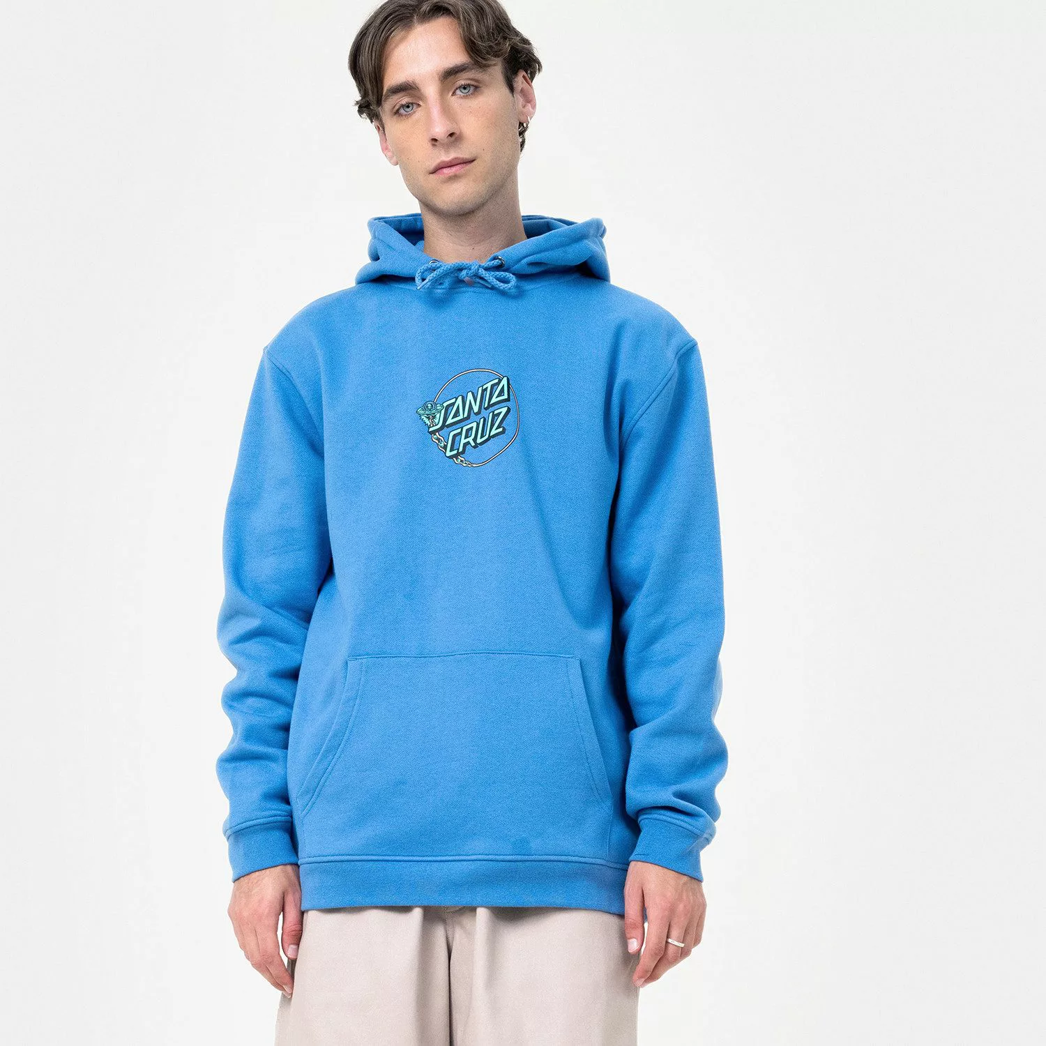 Santa Cruz Kapuzensweatshirt WINKOWSKI DOPE PLANET günstig online kaufen