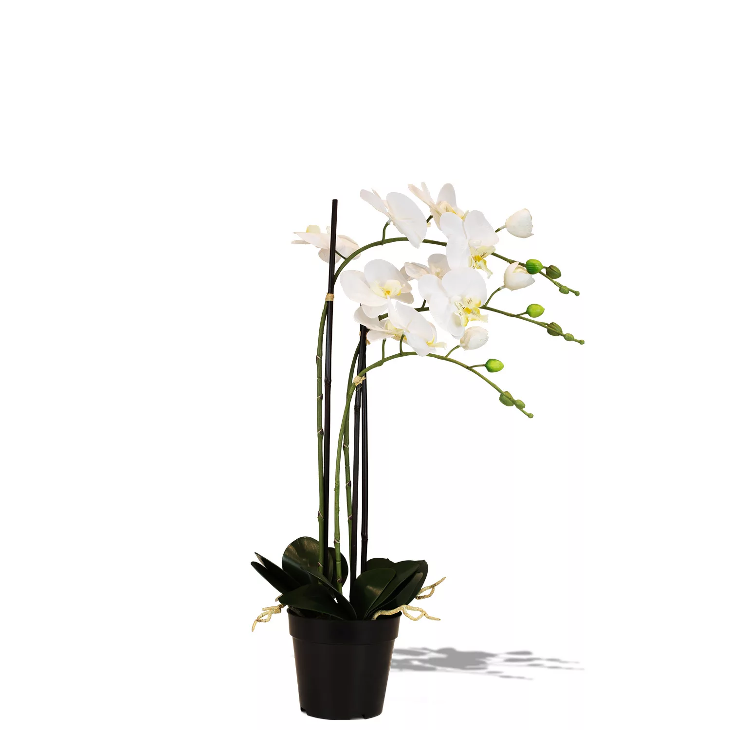 Künstliche Orchidee weiß 76 cm günstig online kaufen