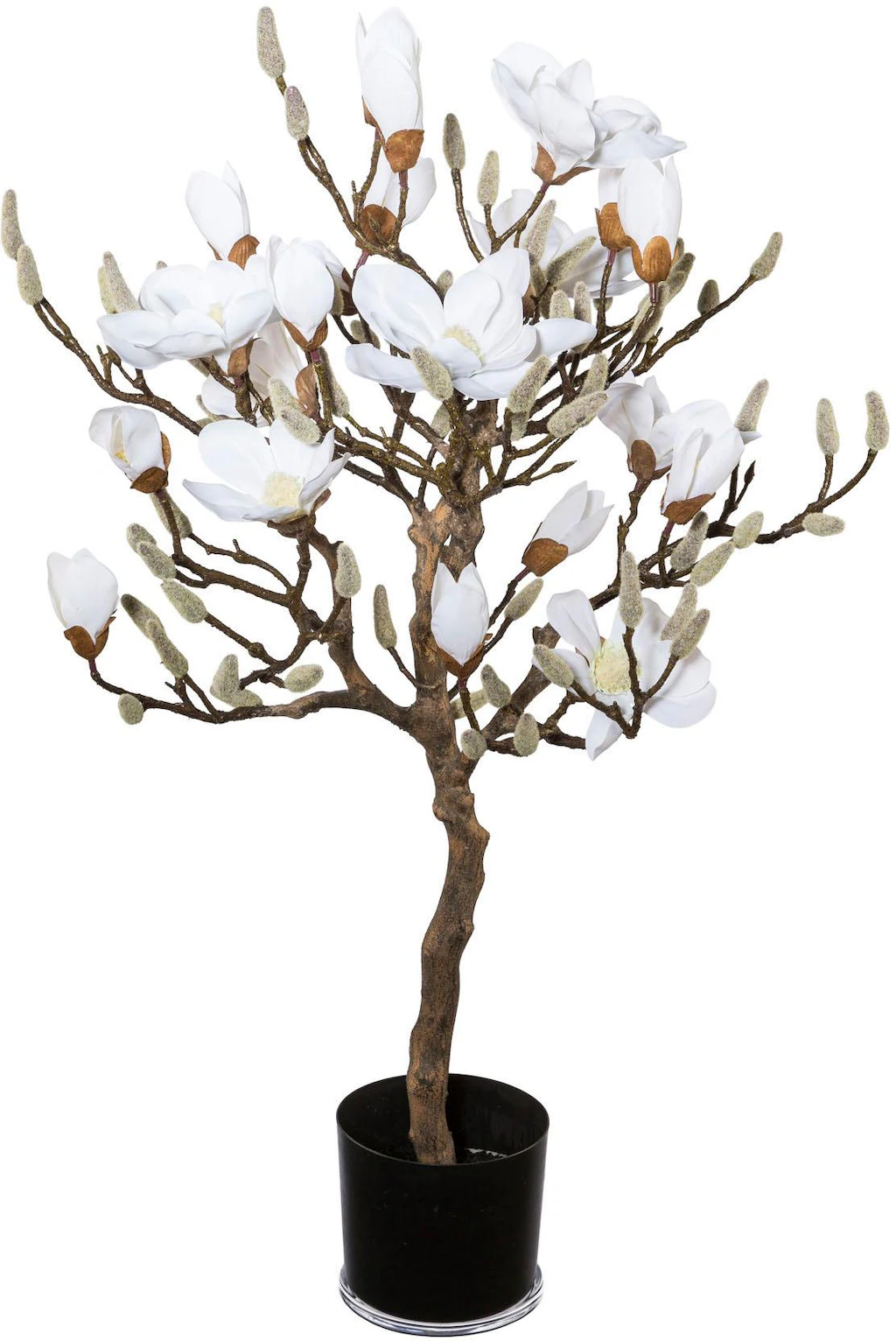 Creativ green Kunstpflanze "Magnolienbaum" günstig online kaufen