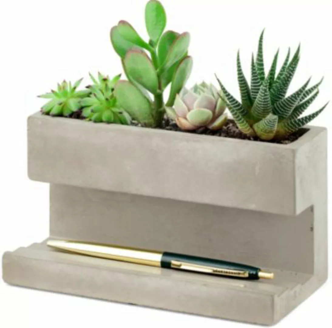Kikkerland Pflanzgefäß mit Stifthalter, 16,3x9x8cm hellgrau günstig online kaufen