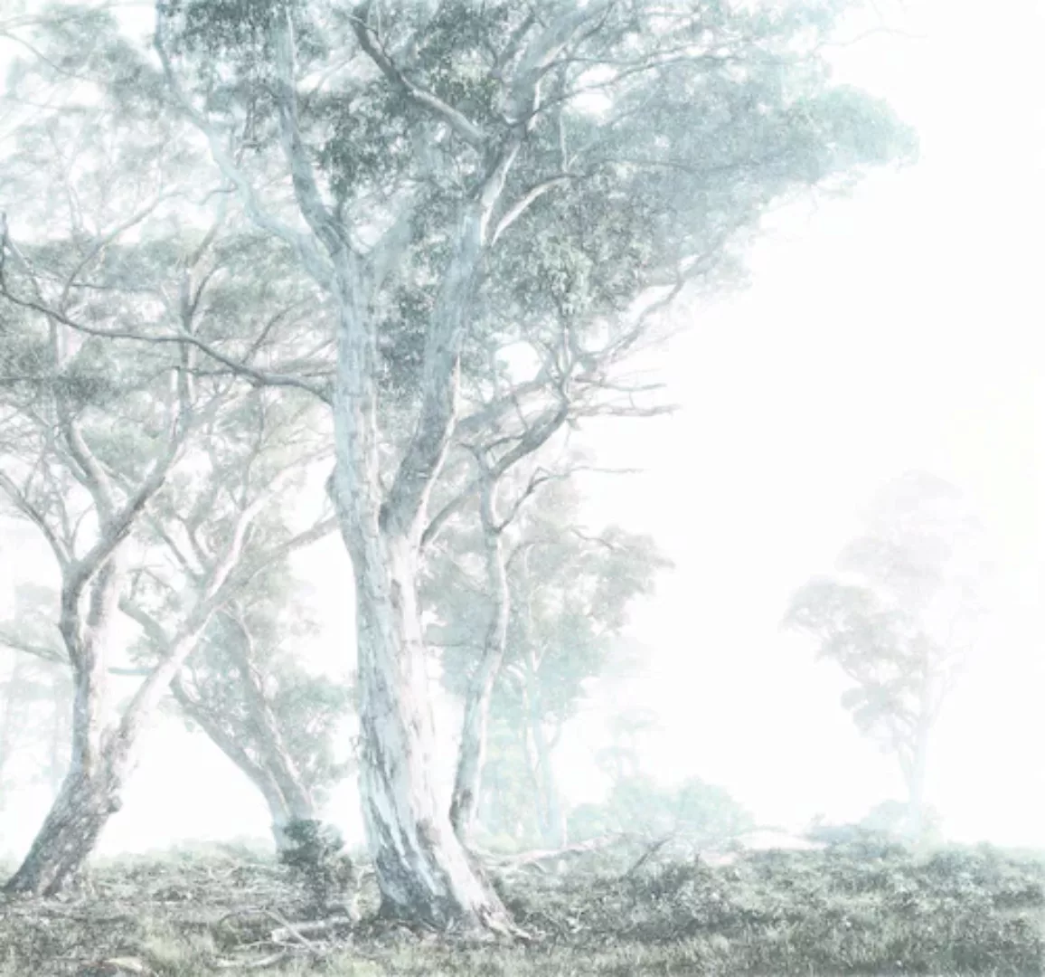 KOMAR Vlies Fototapete - Magic Trees - Größe 300 x 280 cm mehrfarbig günstig online kaufen