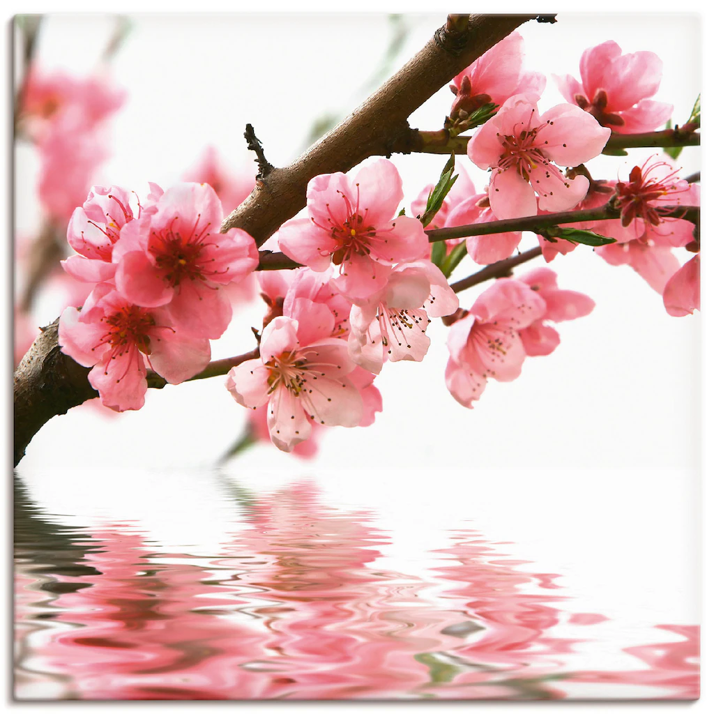Artland Wandbild "Pfirsichblüten reflektieren im Wasser", Blumen, (1 St.), günstig online kaufen