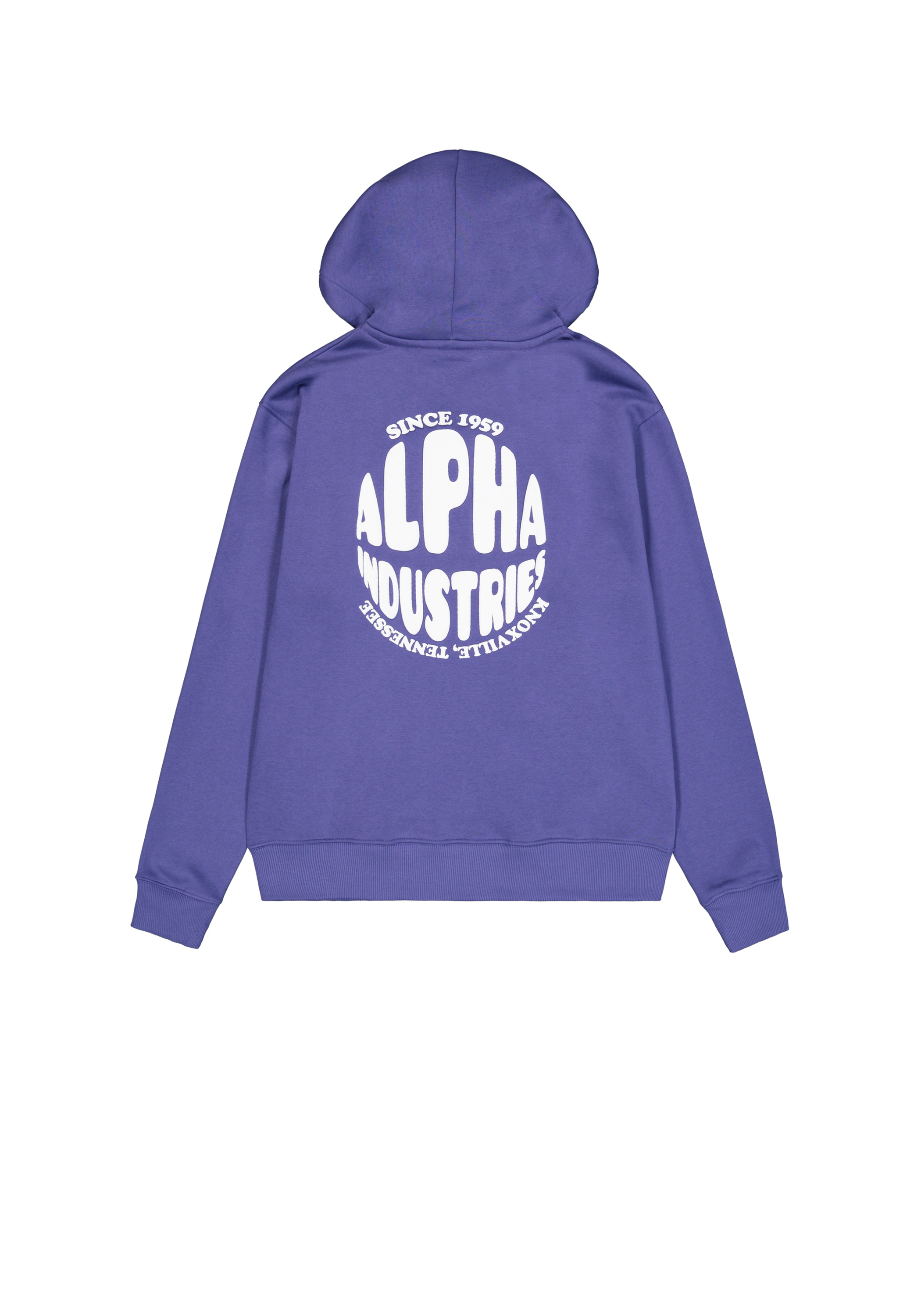 Alpha Industries Hoodie "Logo Hoodie Backprint" günstig online kaufen