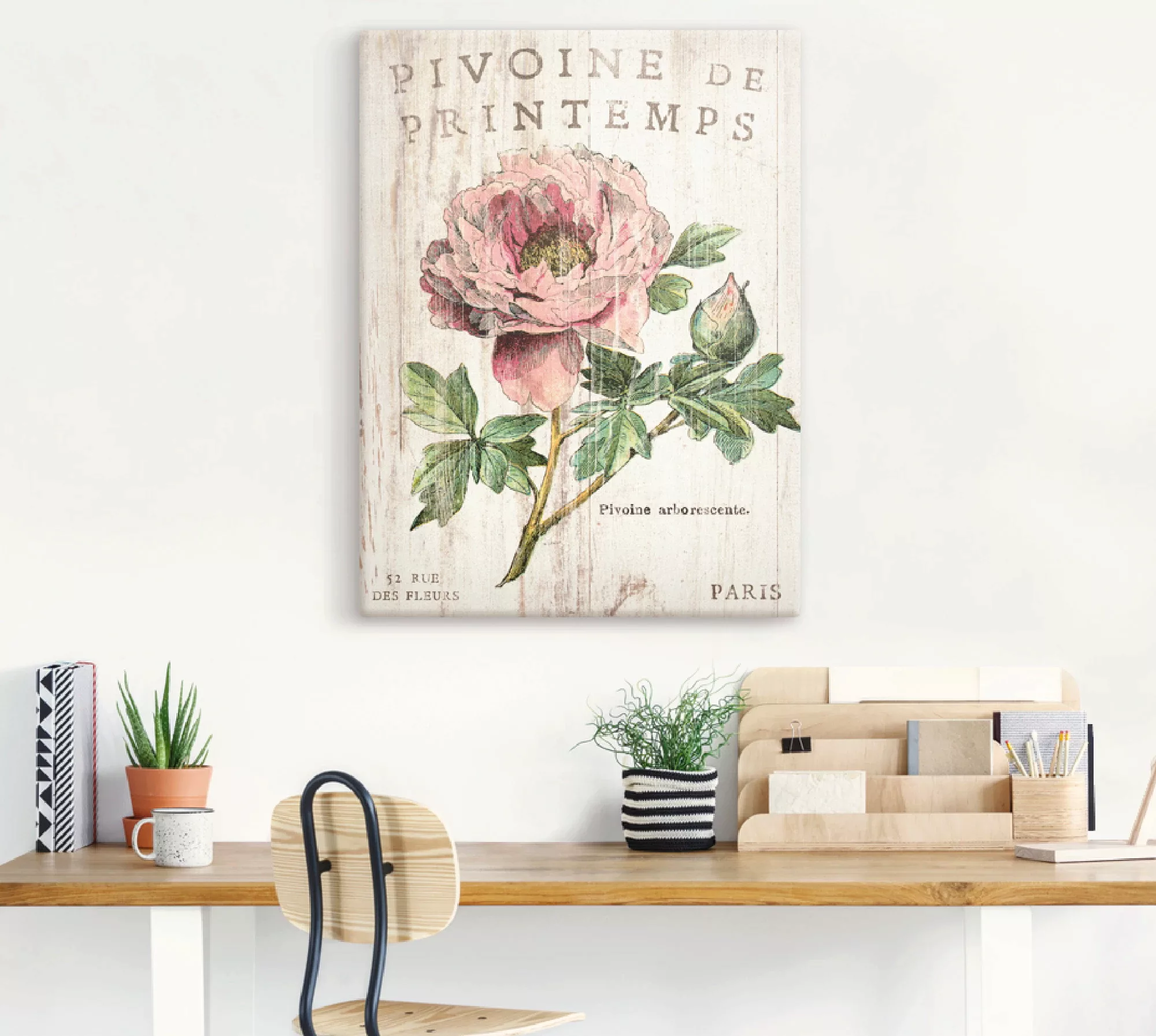 Artland Wandbild "Pfingstrose", Blumen, (1 St.), als Leinwandbild, Poster, günstig online kaufen