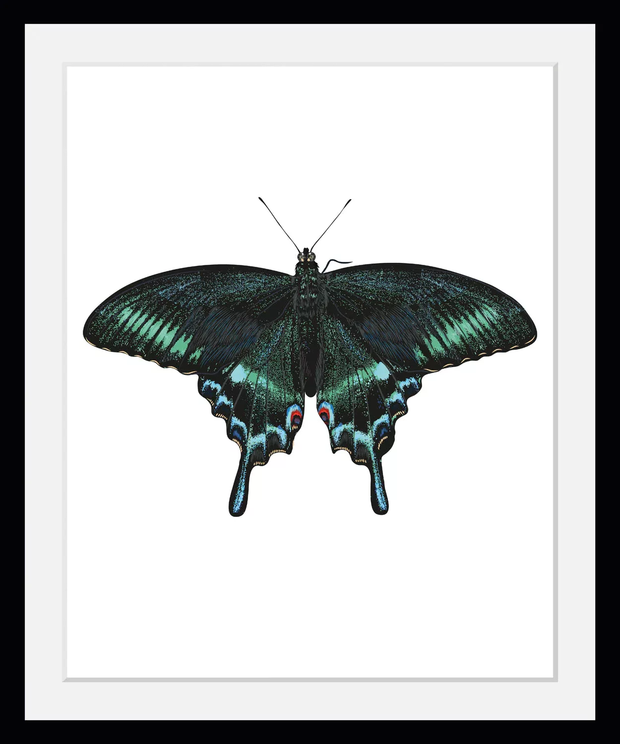 queence Bild "Lana", Schmetterlinge, (1 St.) günstig online kaufen