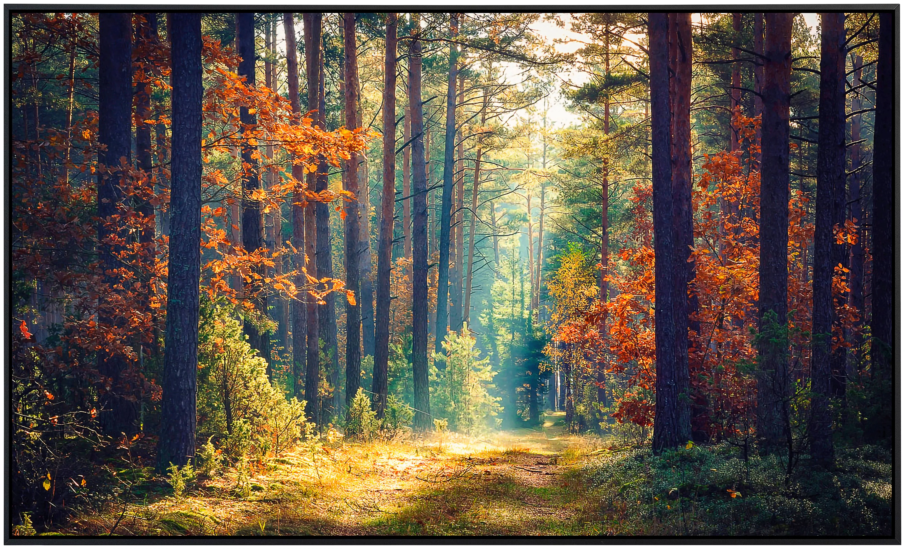 Papermoon Infrarotheizung »Herbstwald Sonnenstrahlen«, sehr angenehme Strah günstig online kaufen
