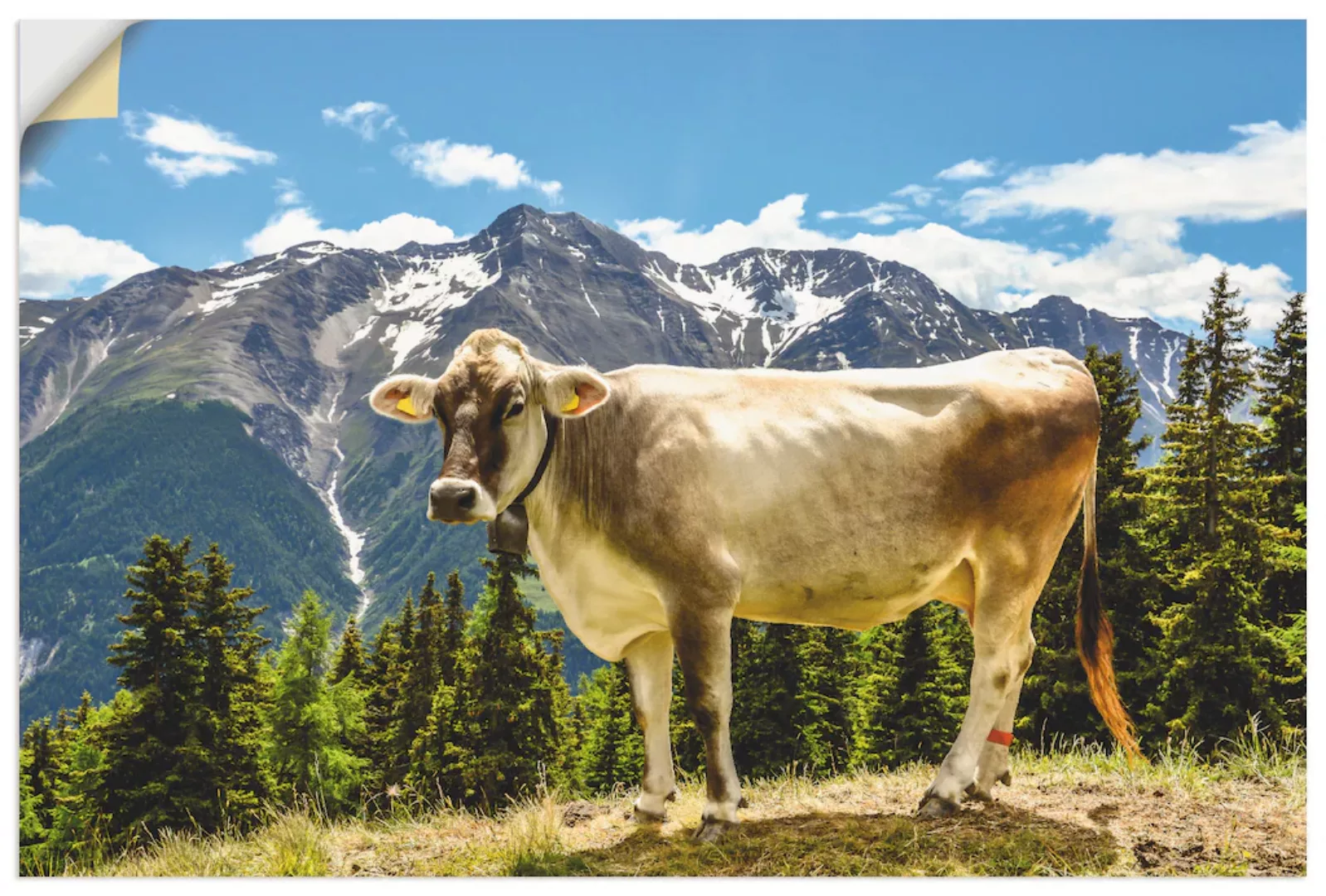 Artland Wandbild "Bergkuh in den Alpen im Sommer", Haustiere, (1 St.), als günstig online kaufen