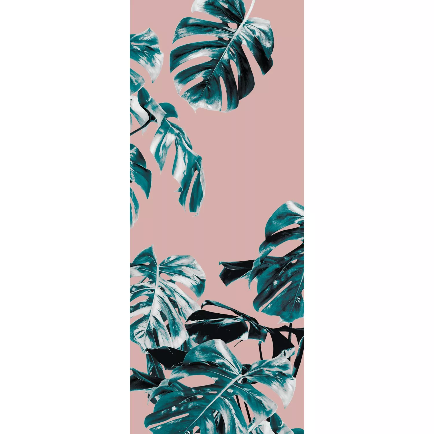 Komar Vliestapete »Monstera Rosé Panel«, 100x250 cm (Breite x Höhe), Vliest günstig online kaufen