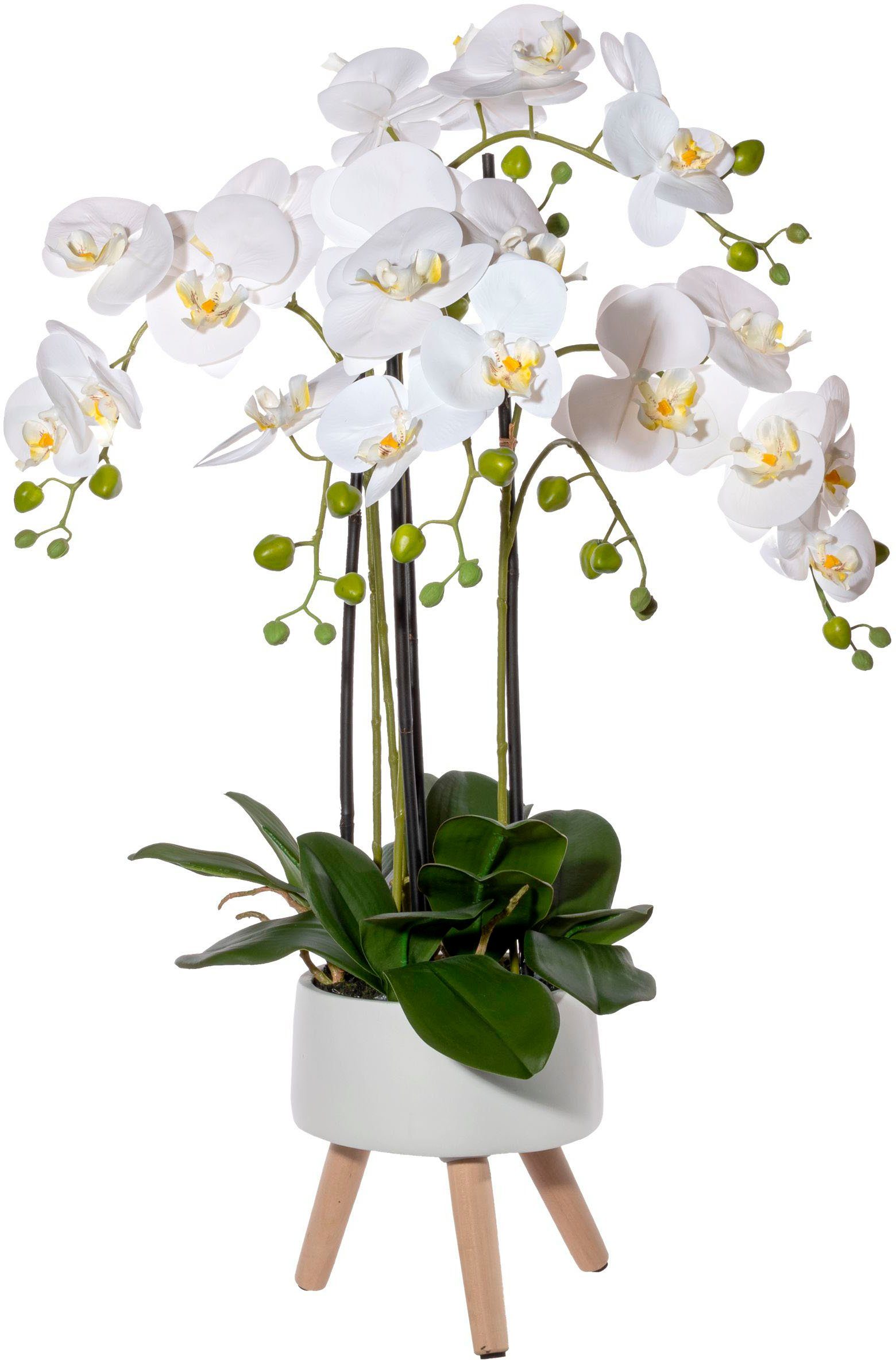 Kunstorchidee Orchidee Phalaenopsis in Keramikschale Orchidee günstig online kaufen
