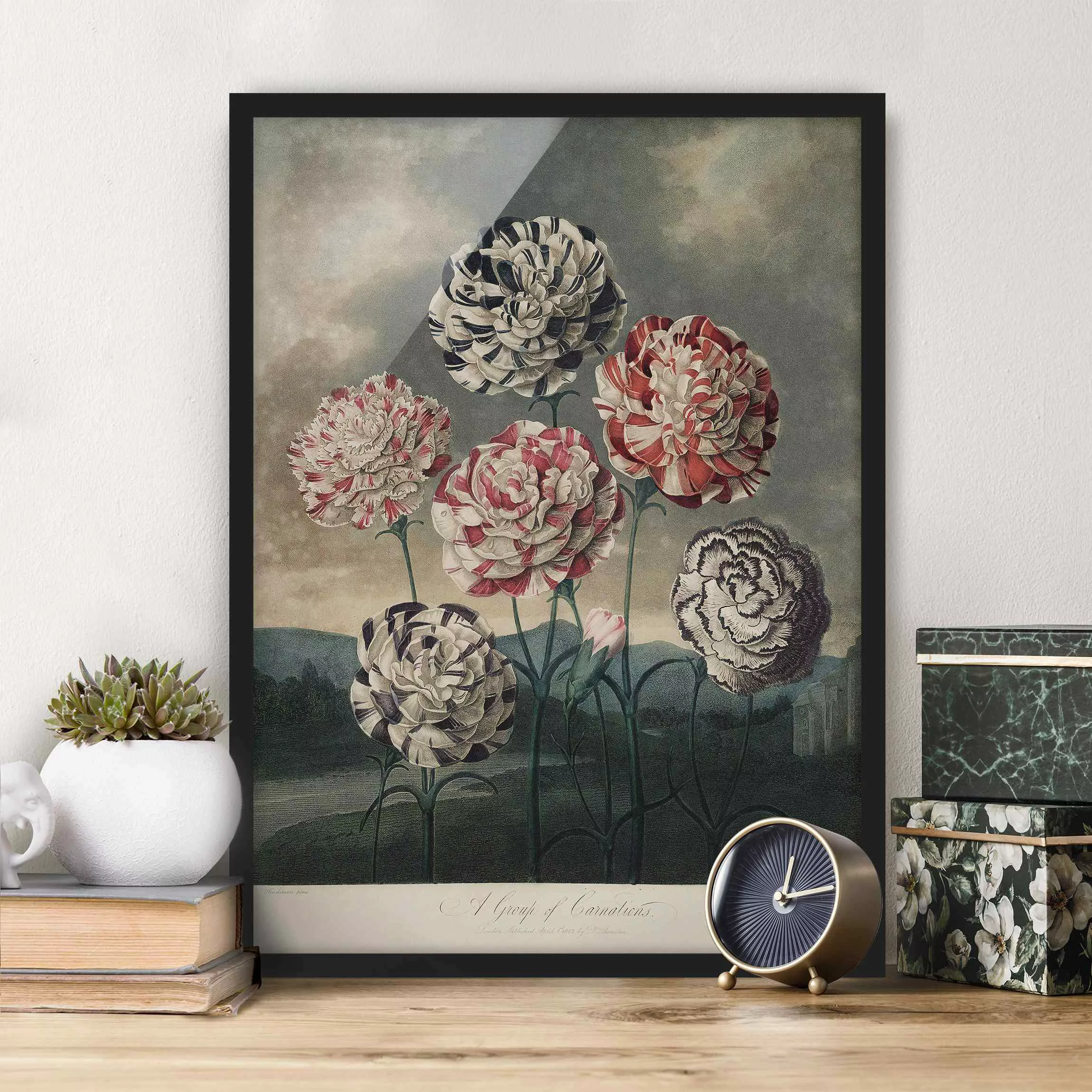 Bild mit Rahmen Blumen - Hochformat Botanik Vintage Illustration Blaue und günstig online kaufen
