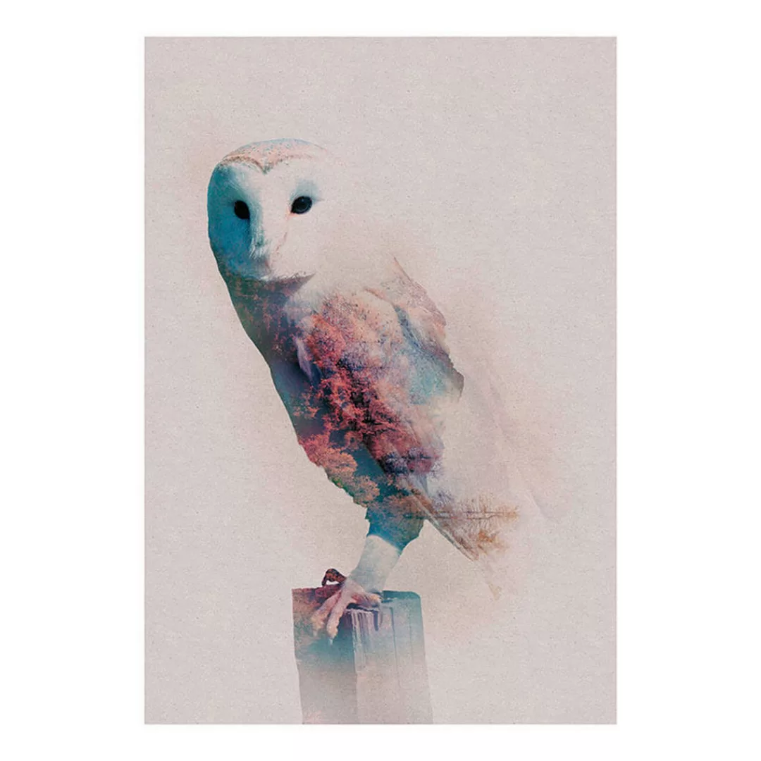 KOMAR Wandbild - Animals Forest Owl - Größe: 50 x 70 cm mehrfarbig Gr. one günstig online kaufen