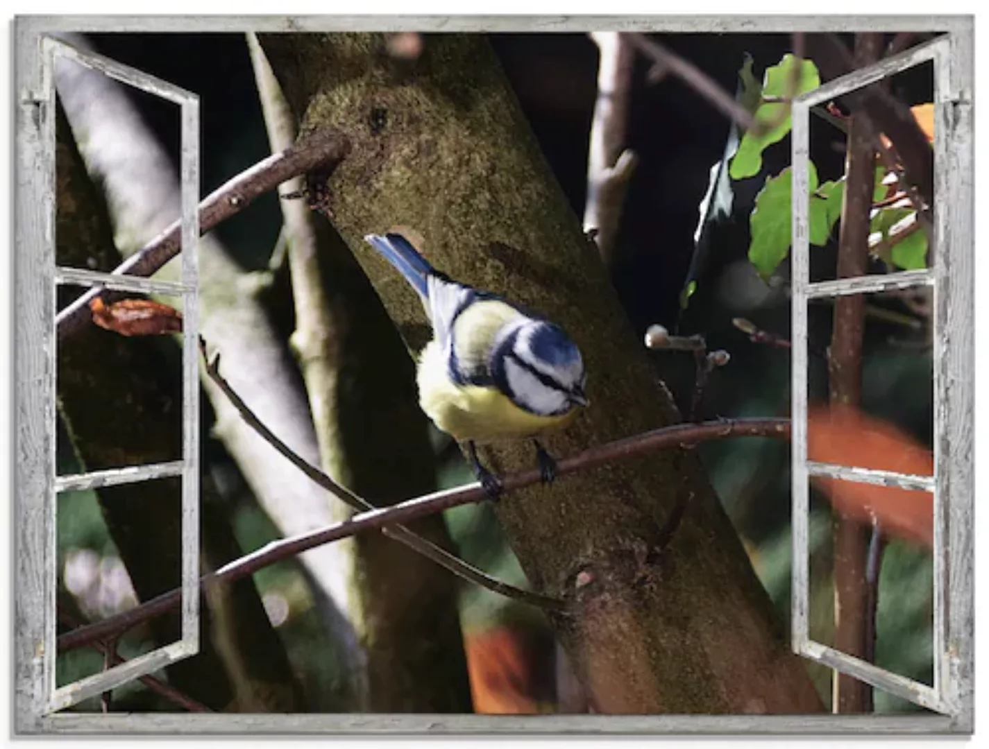 Artland Glasbild "Fensterblick - Blaumeise", Vögel, (1 St.) günstig online kaufen