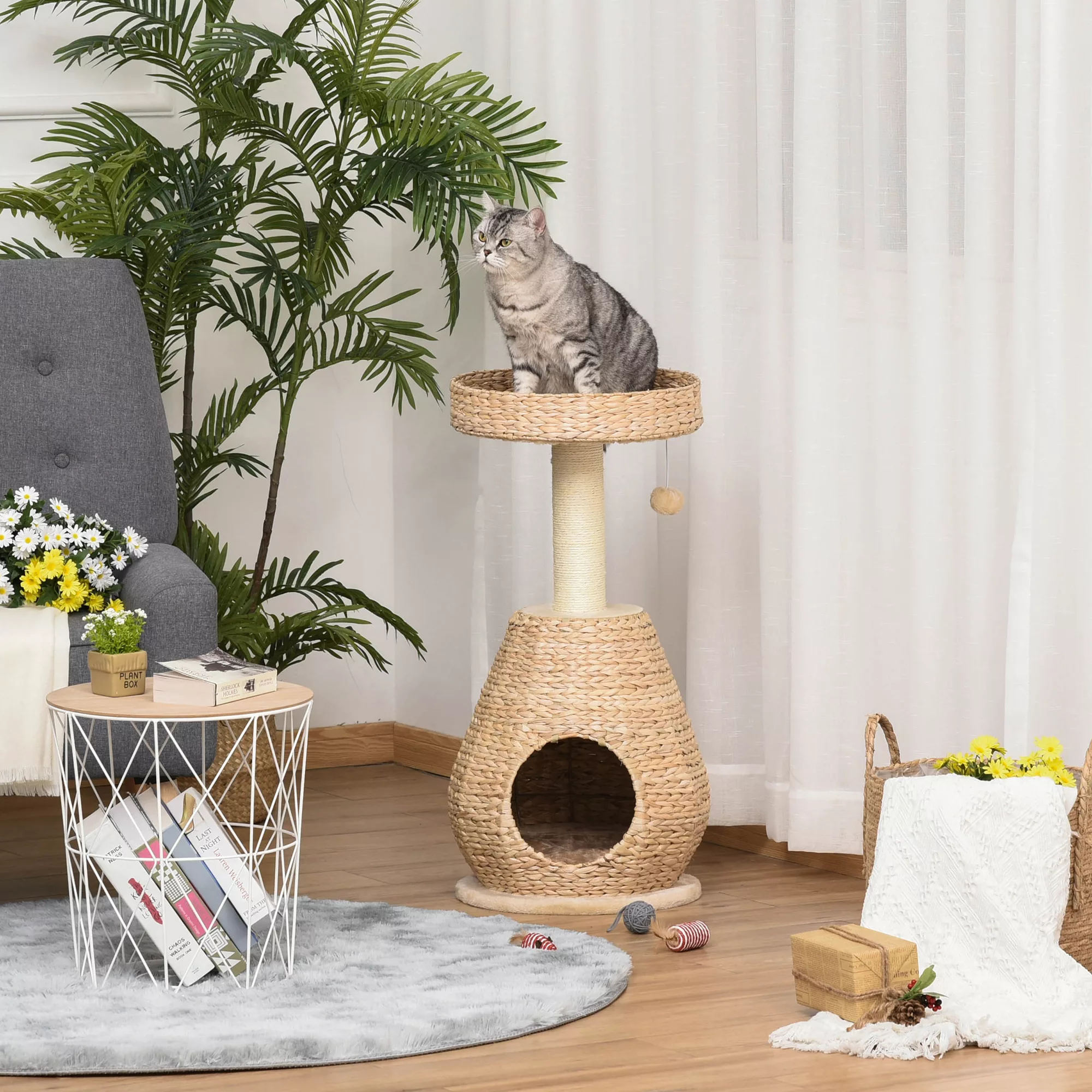 PawHut Katzenbaum Kratzbaum  Kätzchen Möbel mit Katzenhöhle, Ballspielzeug, günstig online kaufen
