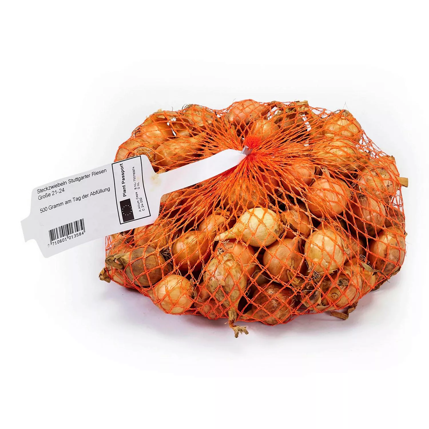 Steckzwiebel 500 g Allium cepa Stuttgarter Riesen günstig online kaufen