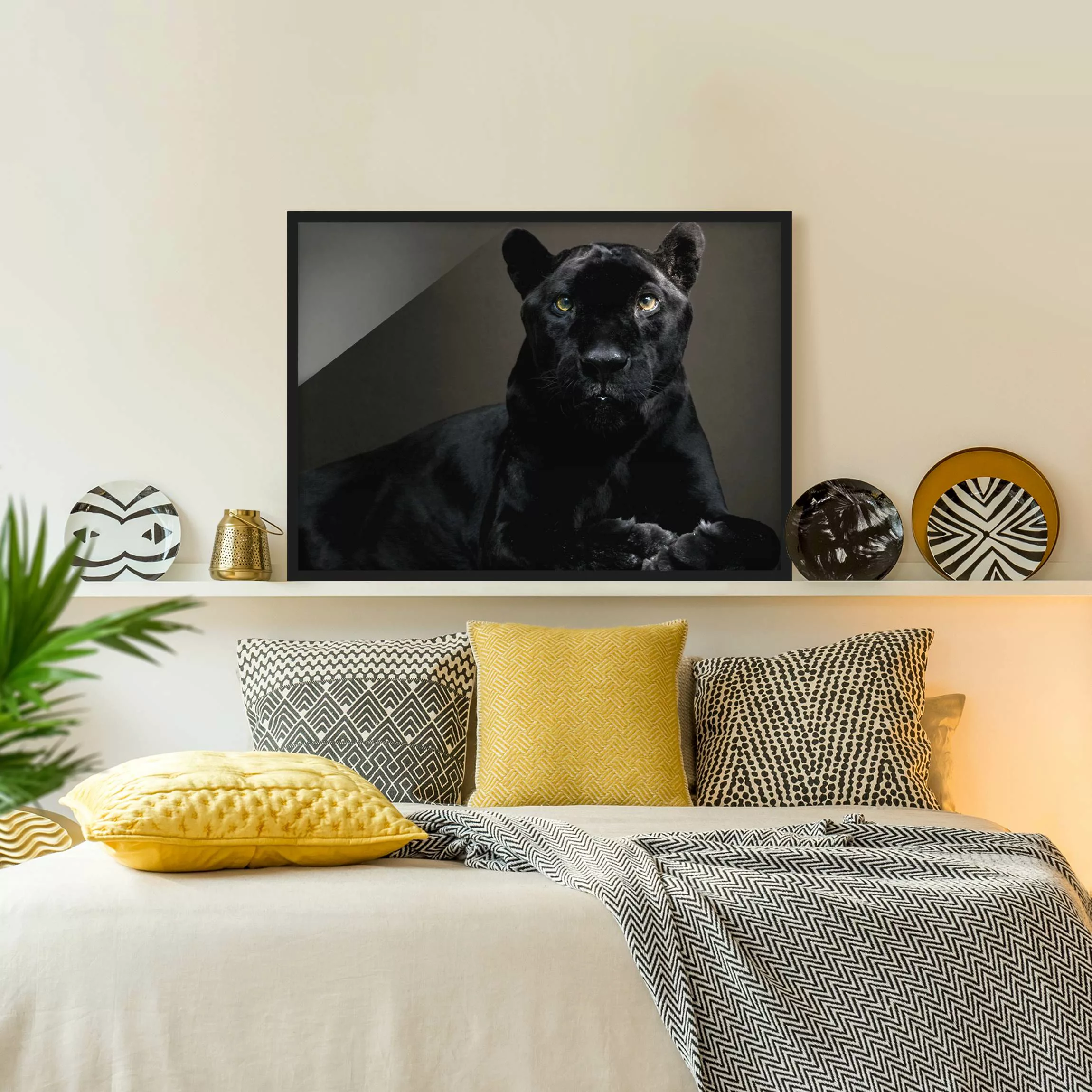 Bild mit Rahmen Tiere - Querformat Black Puma günstig online kaufen