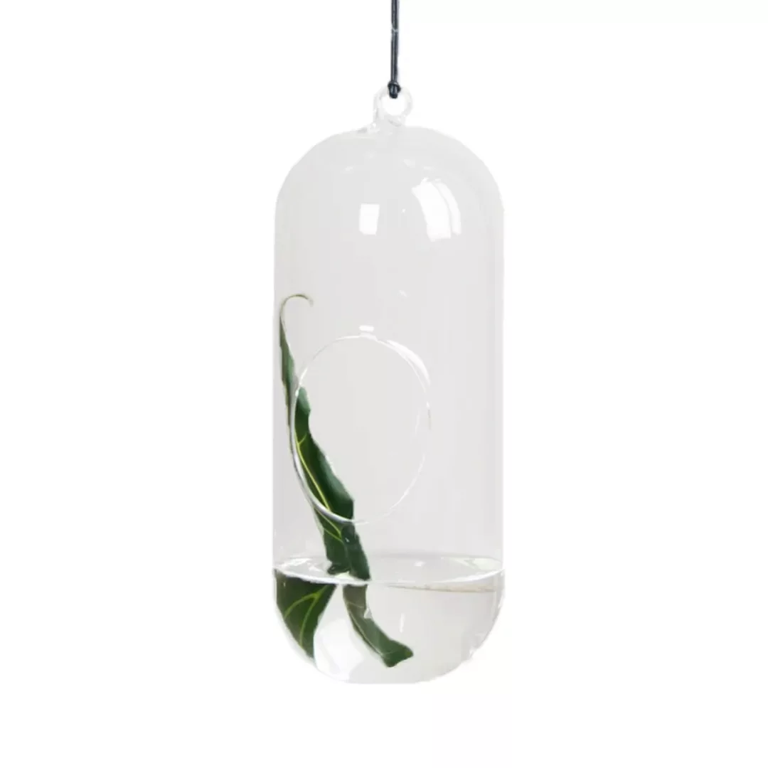 DBKD Blumenampel aus Glas large günstig online kaufen