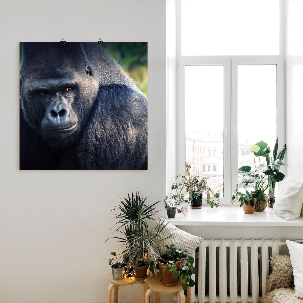 Artland Poster »Gorilla«, Wildtiere, (1 St.), als Leinwandbild, Wandaufkleb günstig online kaufen