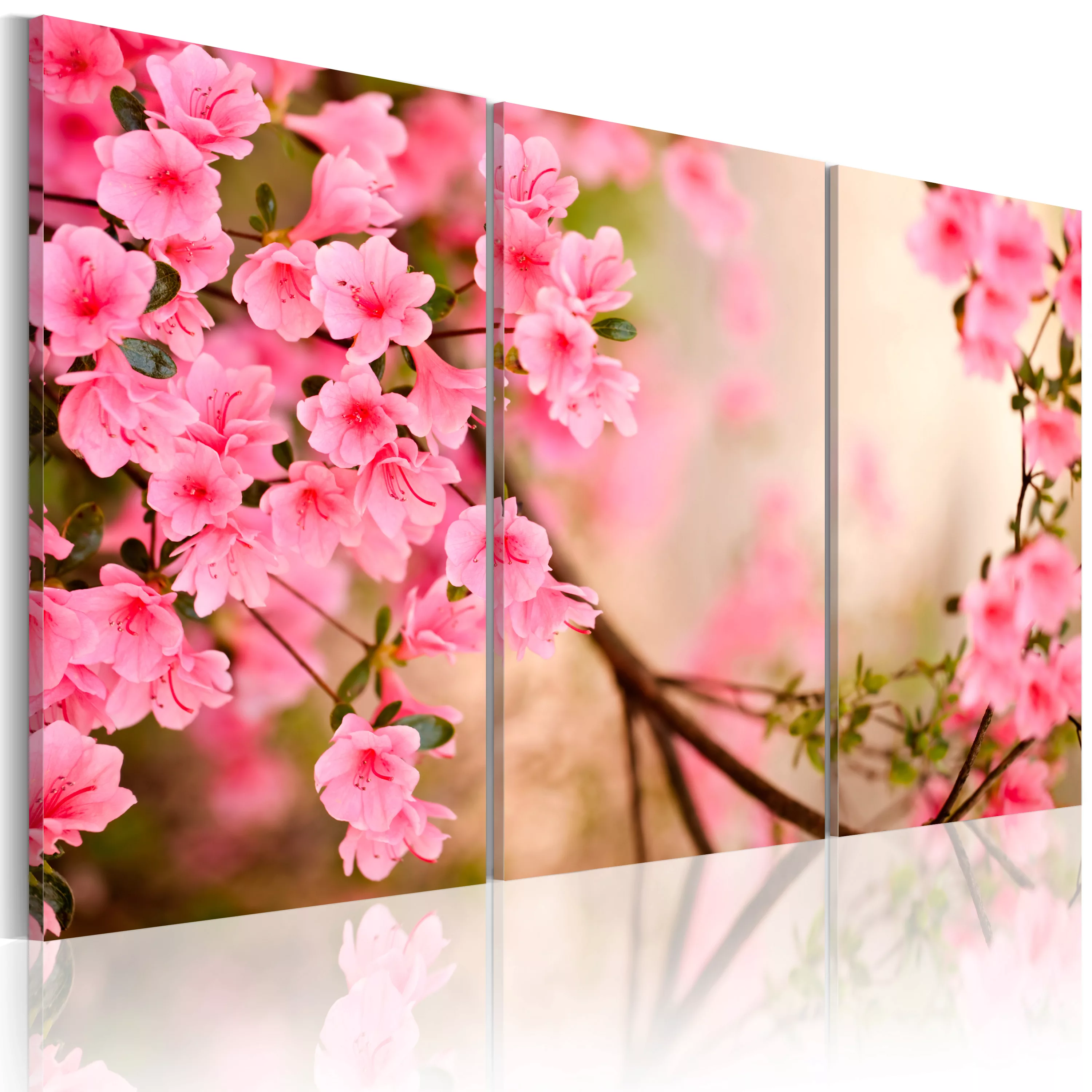 Wandbild - Winzige Kirchblüten günstig online kaufen