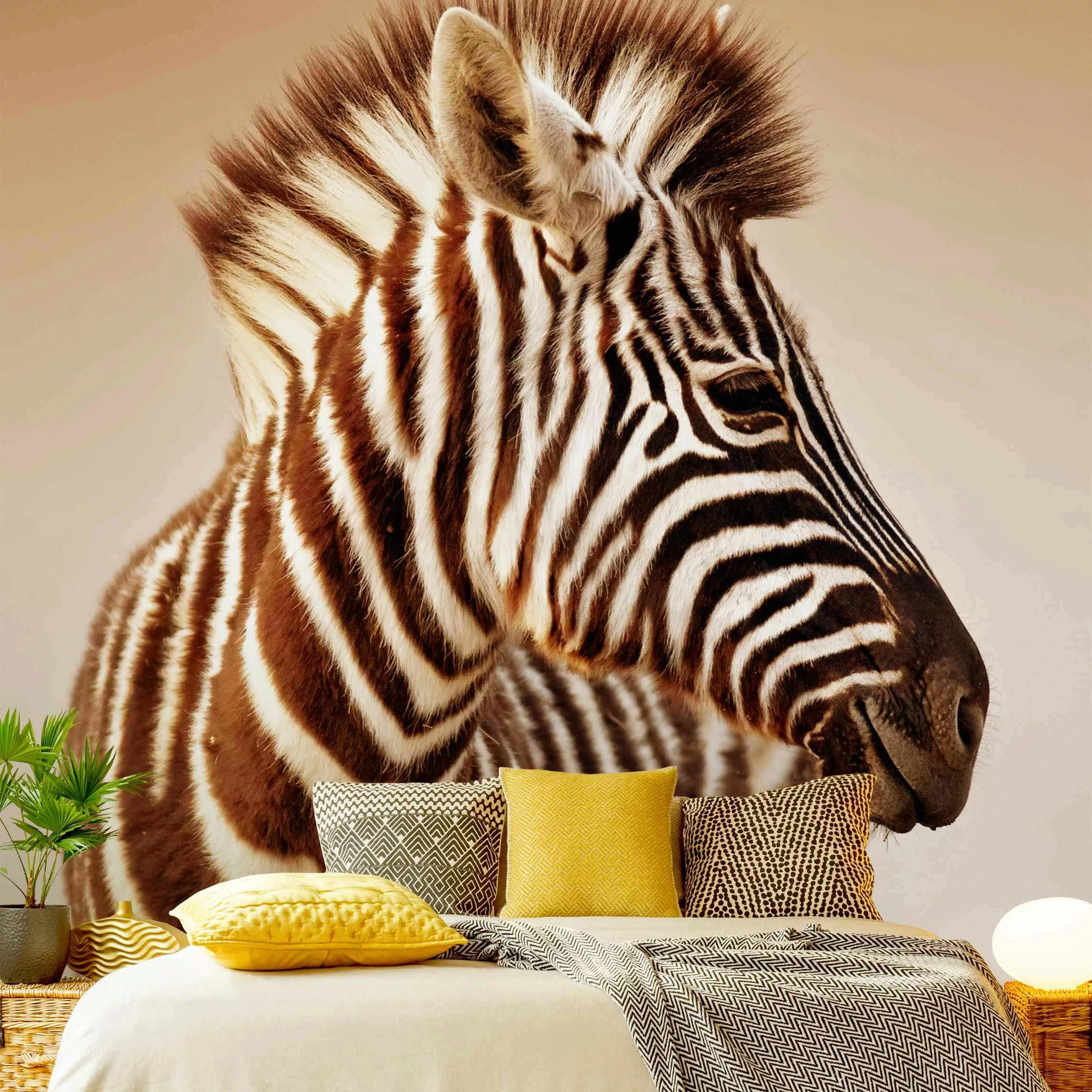 Fototapete Zebra Baby Portrait günstig online kaufen