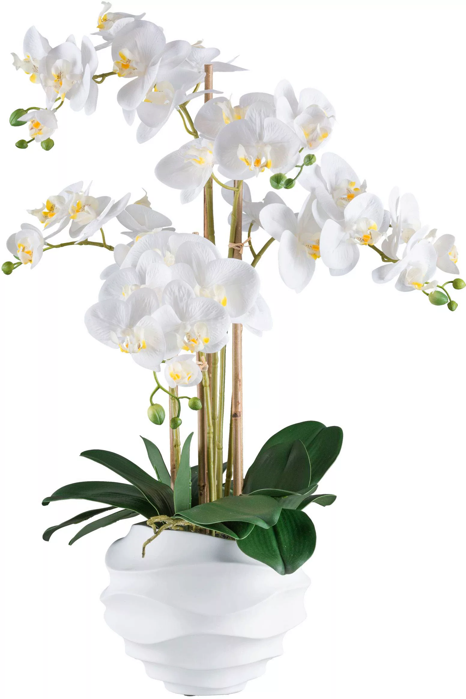 Creativ green Kunstorchidee "Orchidee Phalaenopsis", im Design-Topf günstig online kaufen