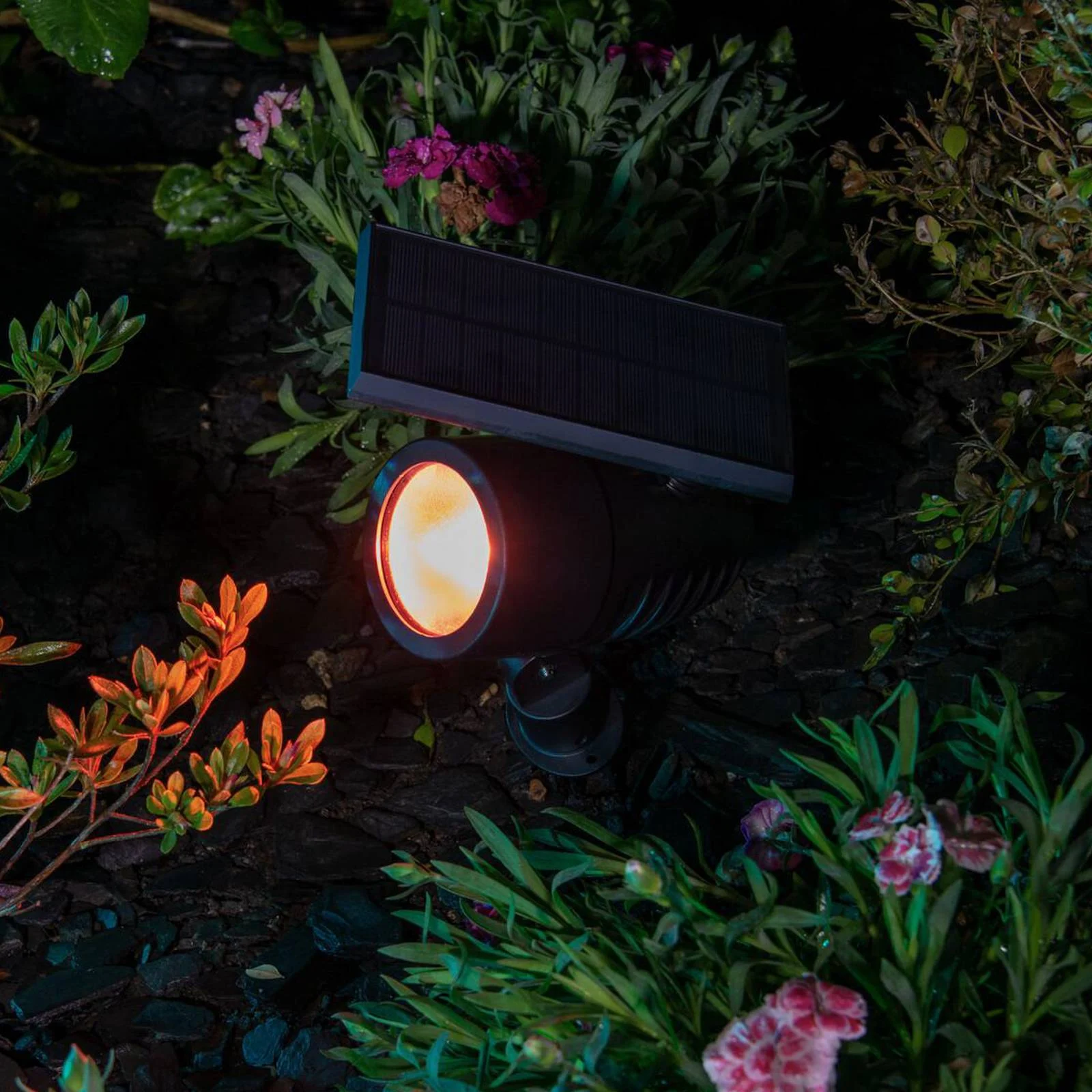 OSRAM SMART+ Solar-LED-Spot, schwarz, Erdspieß, RGB CCT IP44 günstig online kaufen