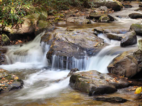 Papermoon Fototapete »WASSERFALL-BÄUME FLUSS SEE STEINE BLUME WALD BACH SON günstig online kaufen