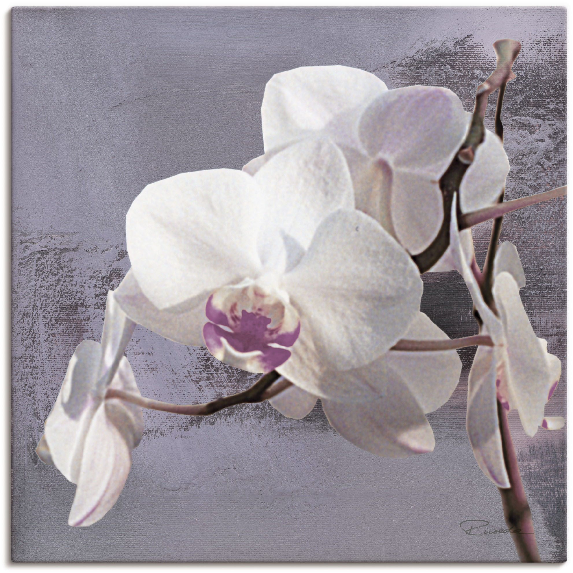 Artland Wandbild "Orchideen vor Violett I", Blumen, (1 St.), als Alubild, O günstig online kaufen