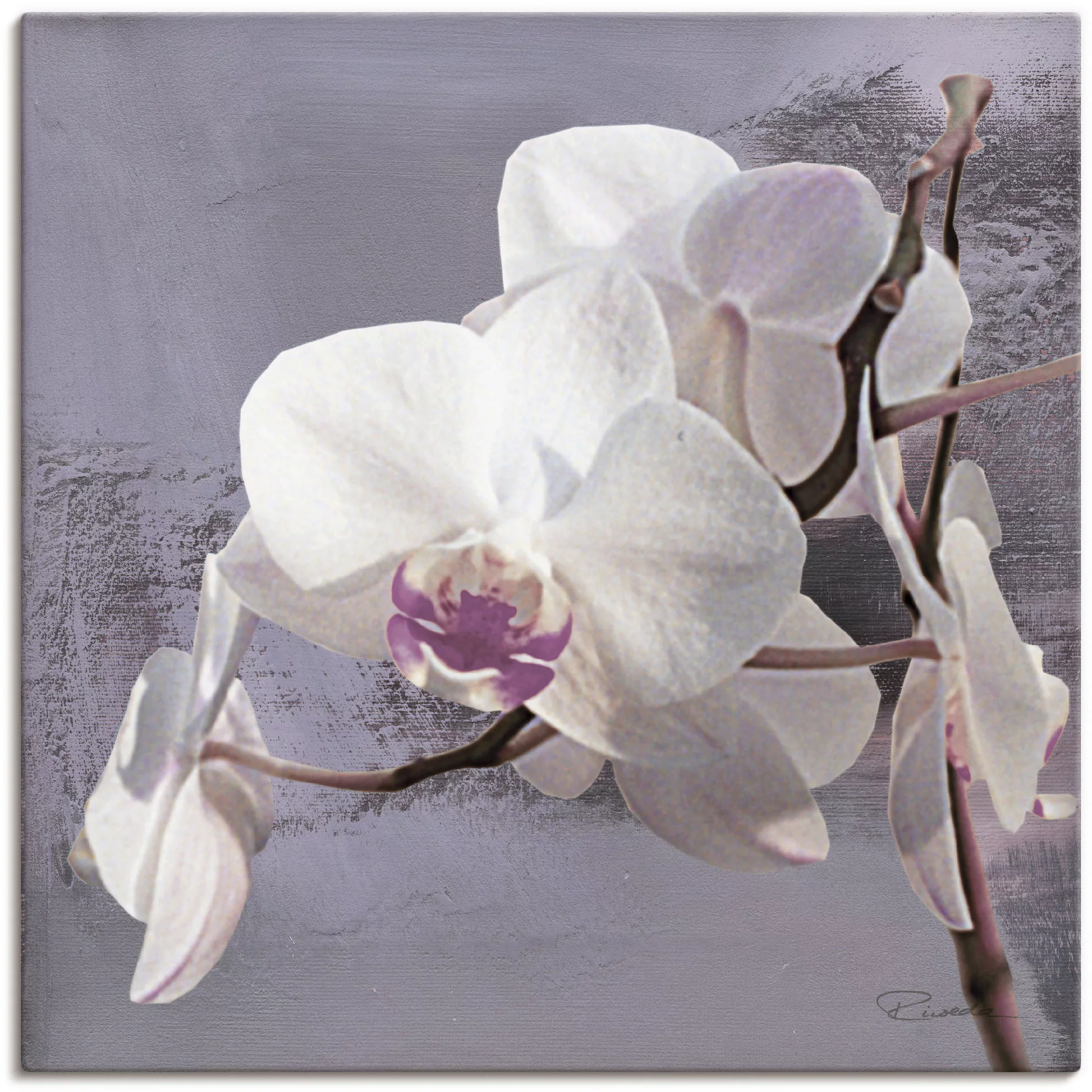 Artland Wandbild »Orchideen vor Violett I«, Blumen, (1 St.), als Alubild, O günstig online kaufen