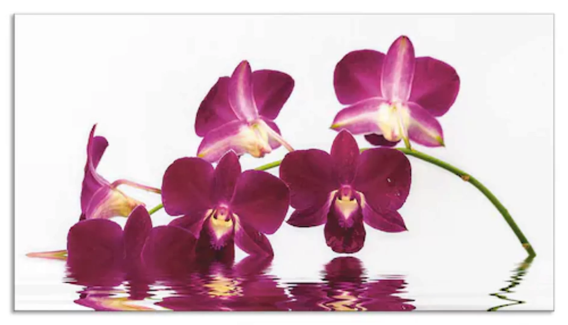 Artland Küchenrückwand "Phalaenopsis Orchidee", (1 tlg.), Alu Spritzschutz günstig online kaufen