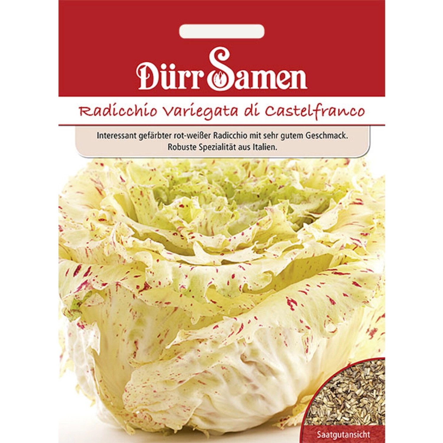 Dürr Samen Radicchio Variegata Di Castelfranco Saatgut günstig online kaufen