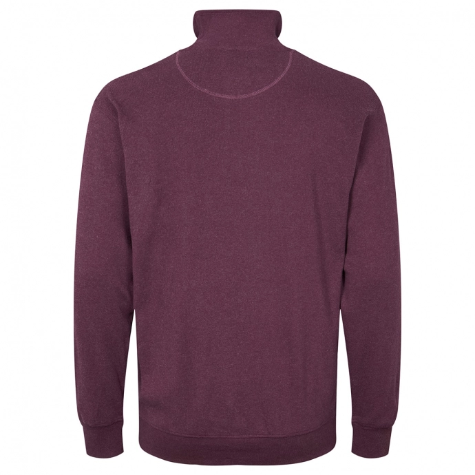 North Sweatshirt mit Stehkragen und Half-Zip günstig online kaufen