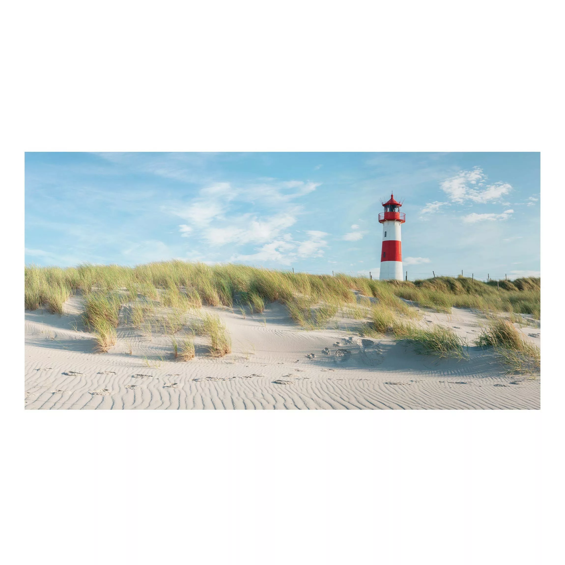 Alu-Dibond Bild Leuchtturm an der Nordsee günstig online kaufen