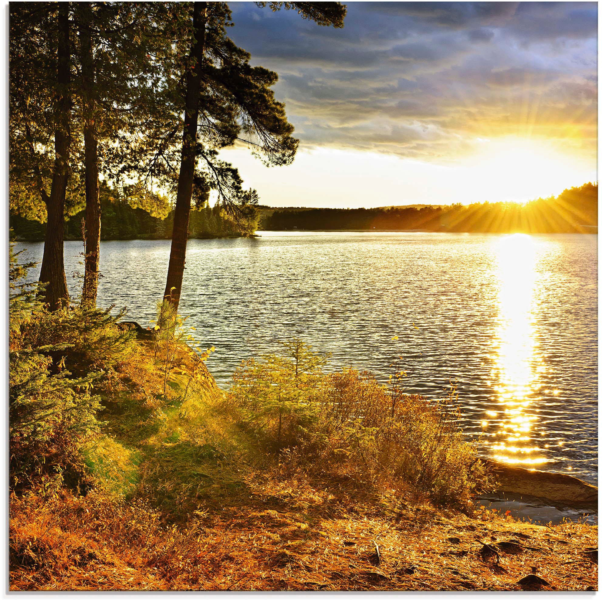 Artland Glasbild "Sonnenuntergang über See Algonquin Park", Sonnenaufgang & günstig online kaufen