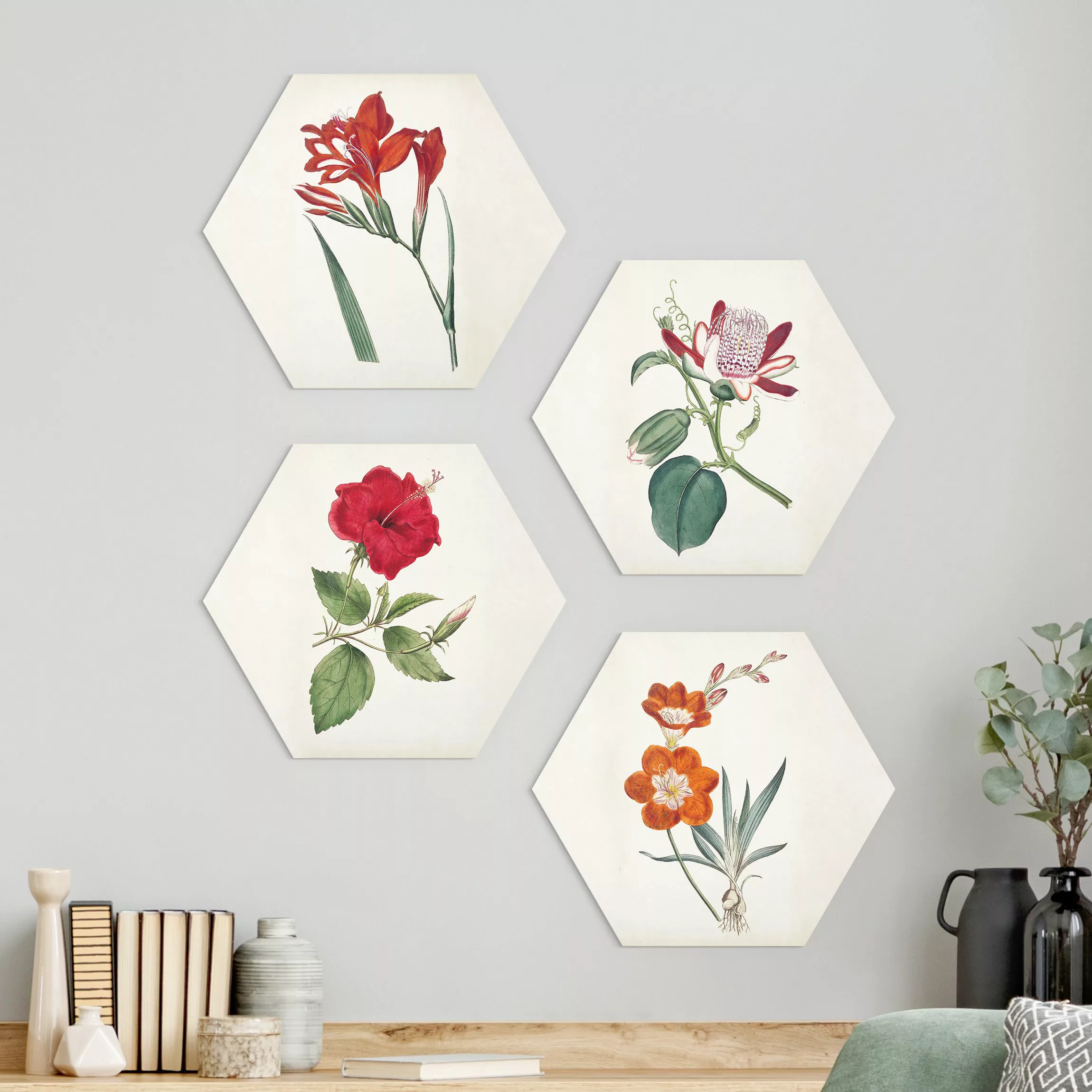 4-teiliges Hexagon-Alu-Dibond Bild Gartenschönheit Set III günstig online kaufen