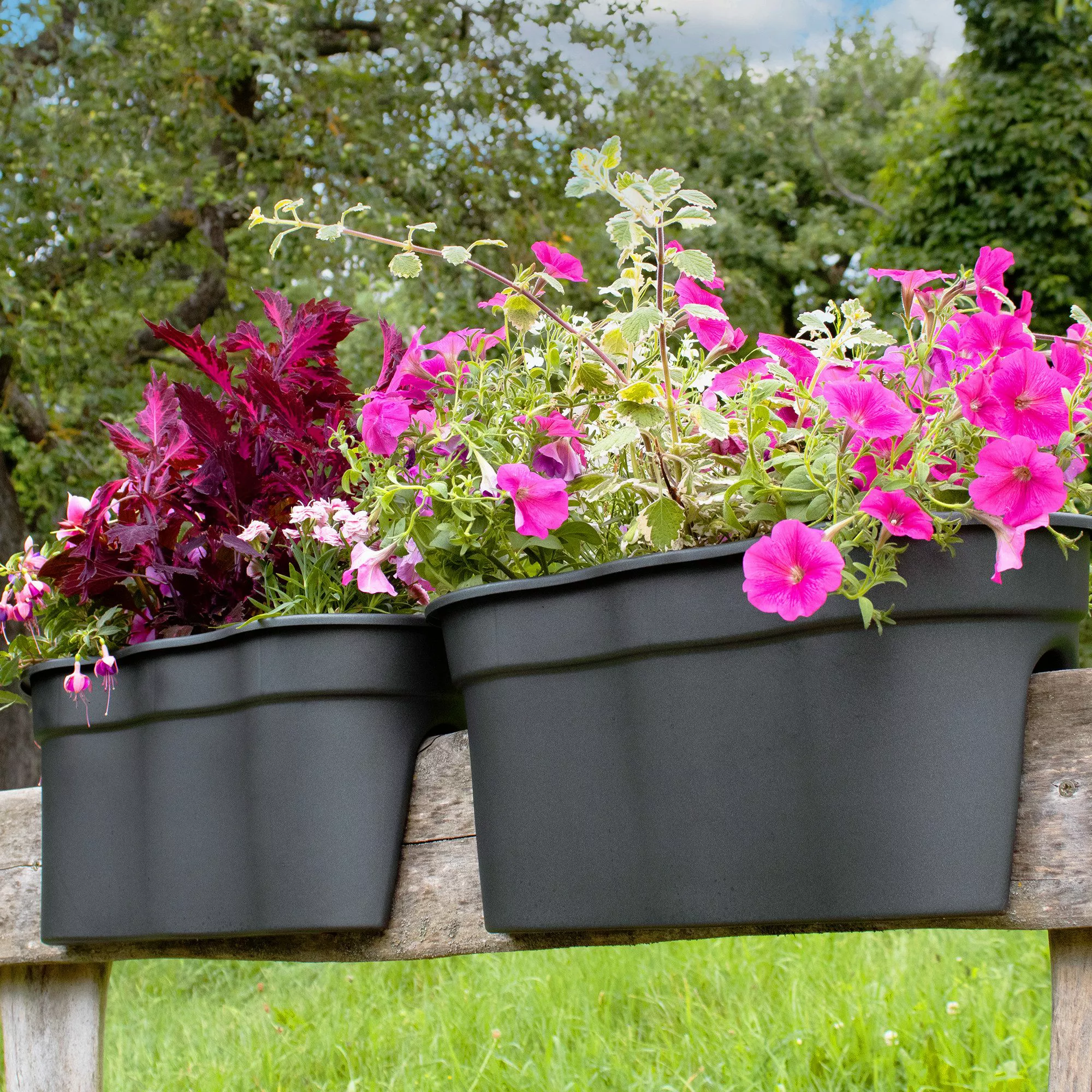 NYVI Blumenkasten Blumenkasten mit Halterung Flowerclip günstig online kaufen