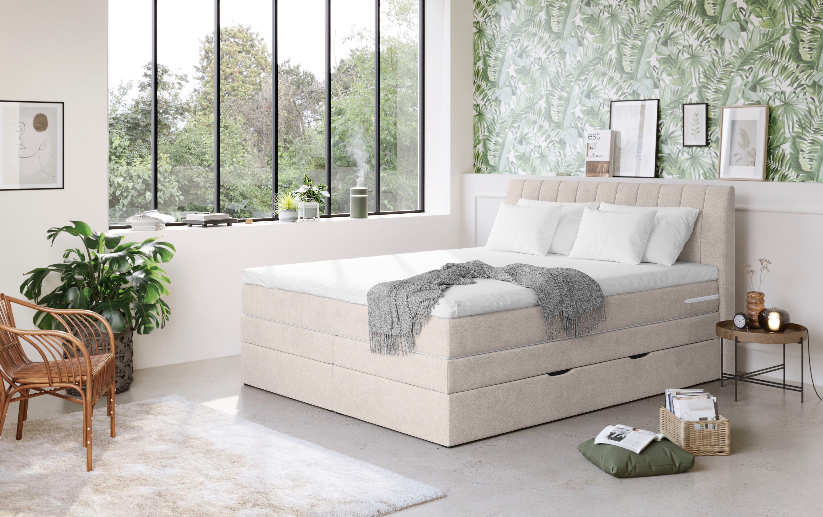 COTTA Boxspringbett "Shark inkl. Bettkasten und Topper", erhältlich in den günstig online kaufen
