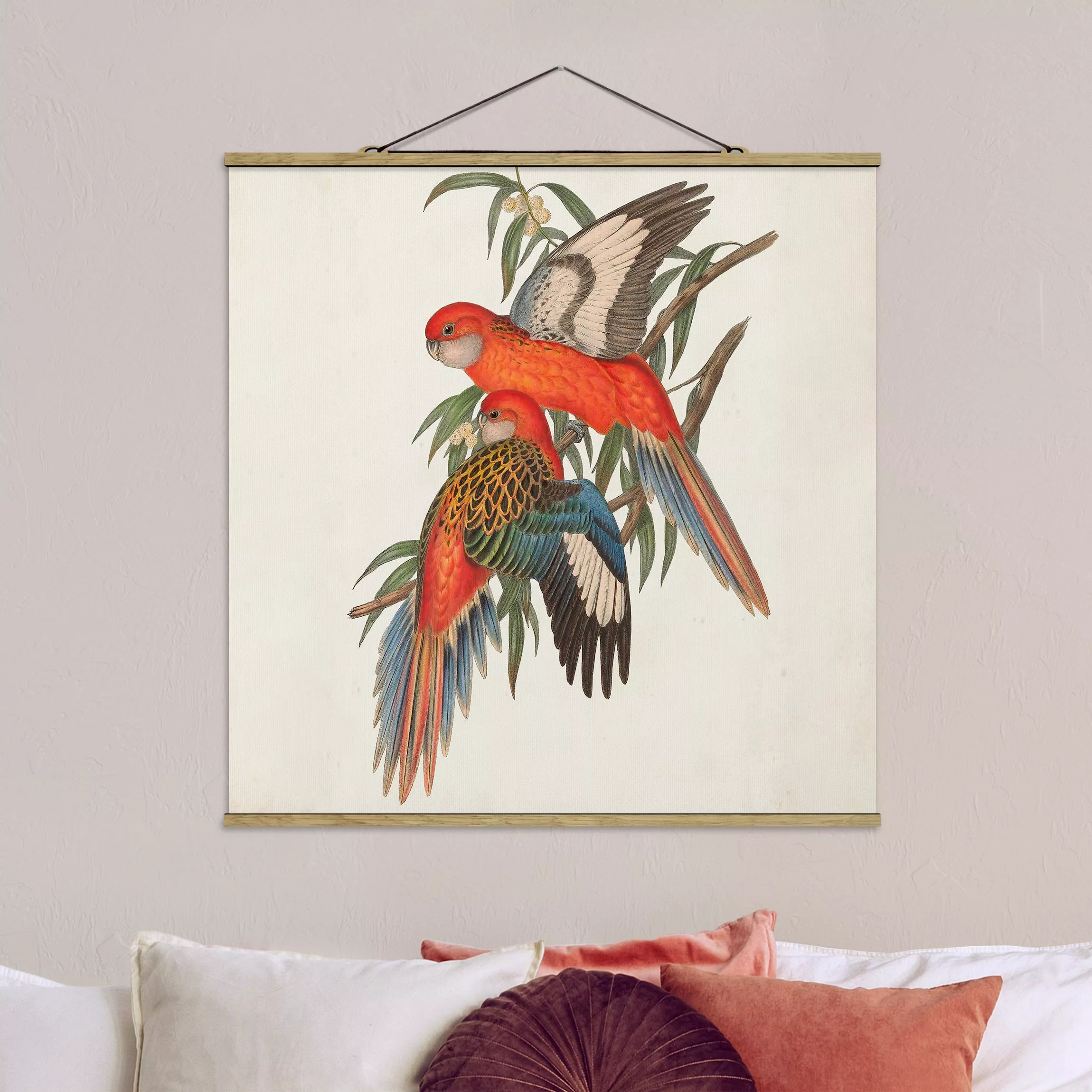 Stoffbild Tiere mit Posterleisten - Quadrat Tropische Papageien I günstig online kaufen