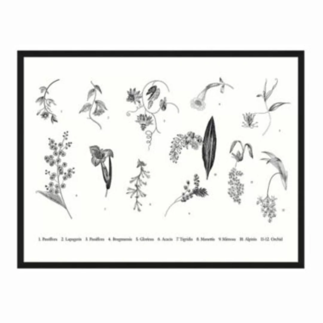 Milan Moon Wandbild Exotische Pflanzen schwarz Gr. 40 x 50 günstig online kaufen