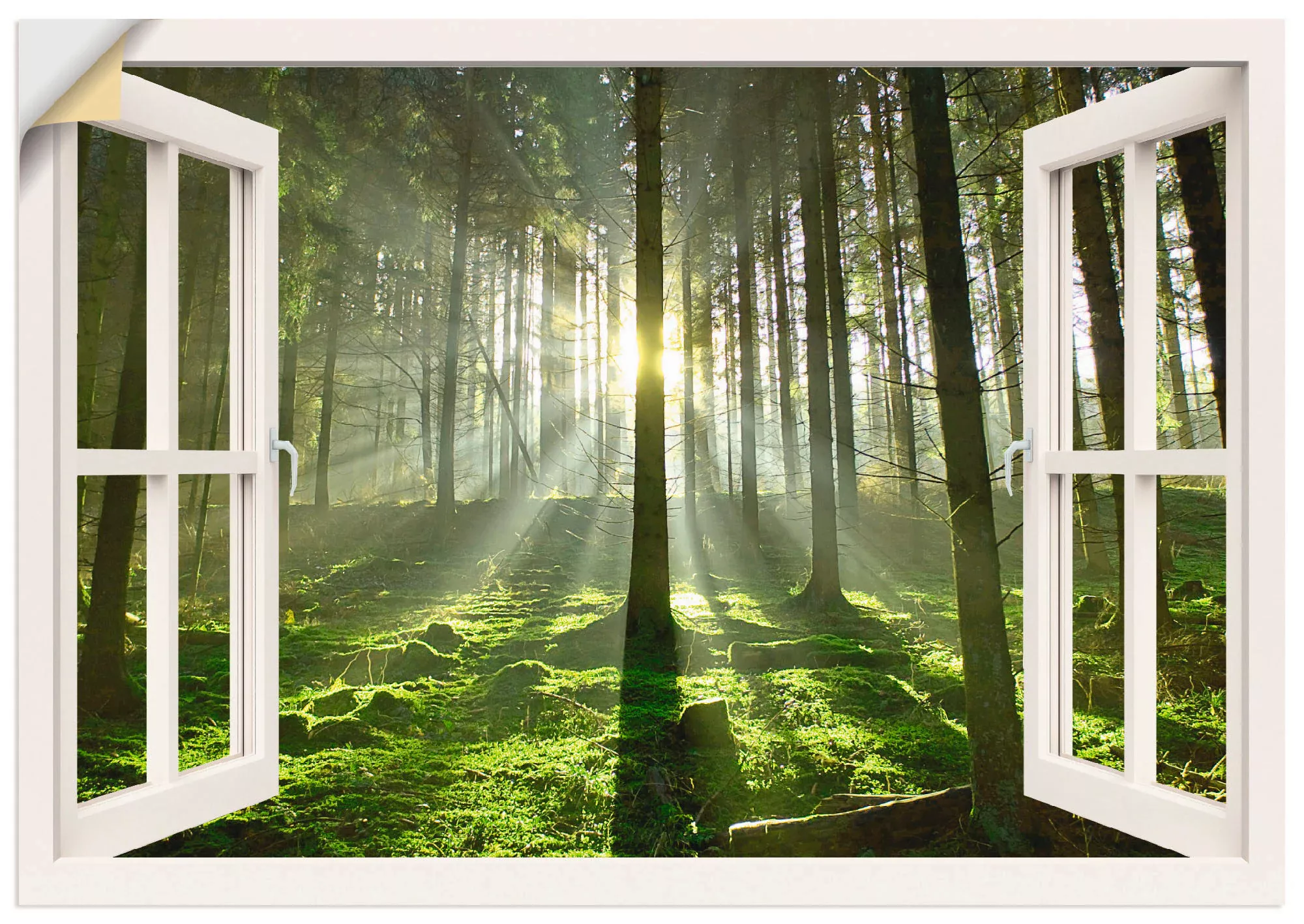 Artland Wandbild »Fensterblick - Wald im Gegenlicht«, Fensterblick, (1 St.) günstig online kaufen