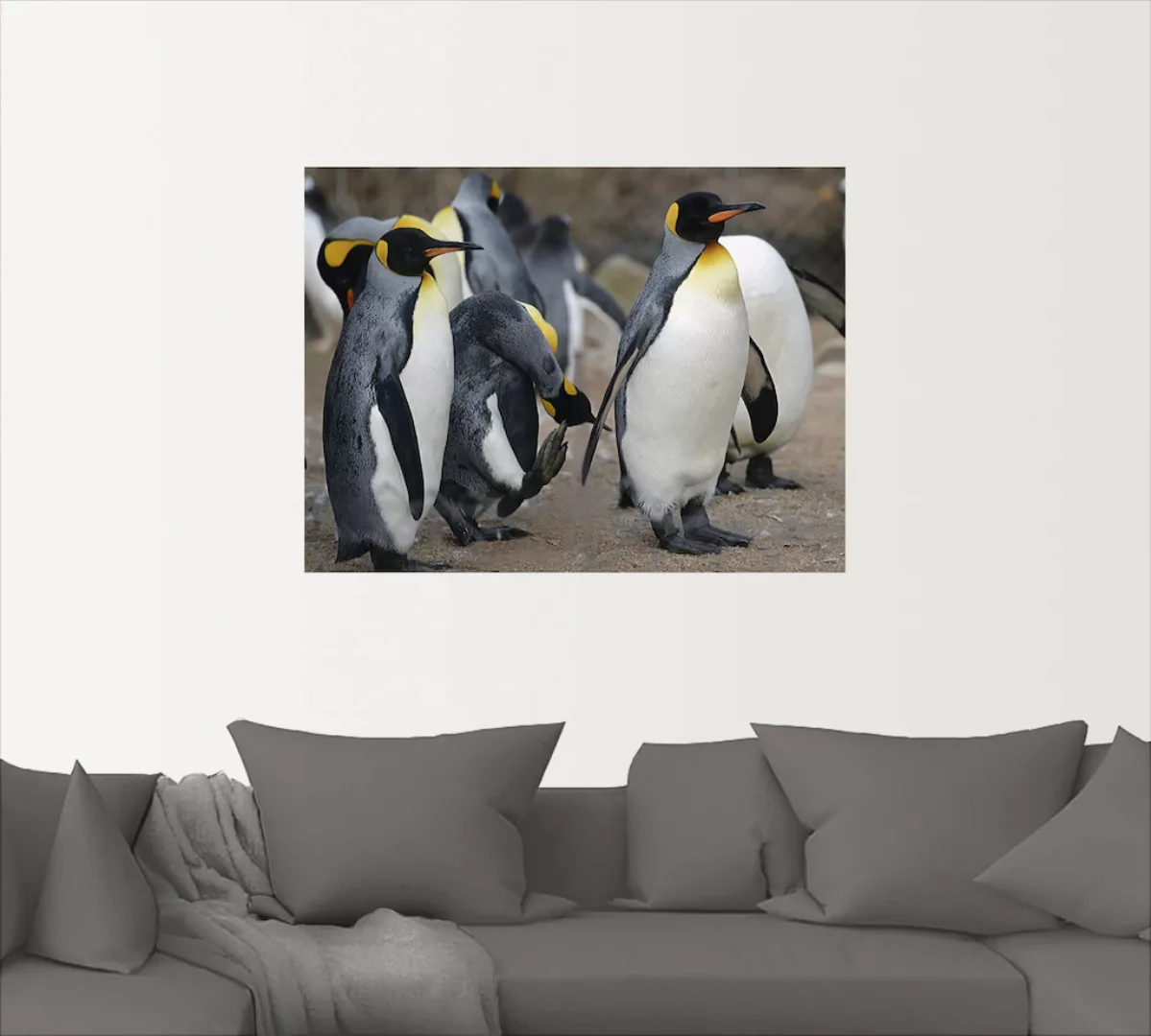 Artland Wandbild "Königspinguin", Vögel, (1 St.), als Leinwandbild, Wandauf günstig online kaufen