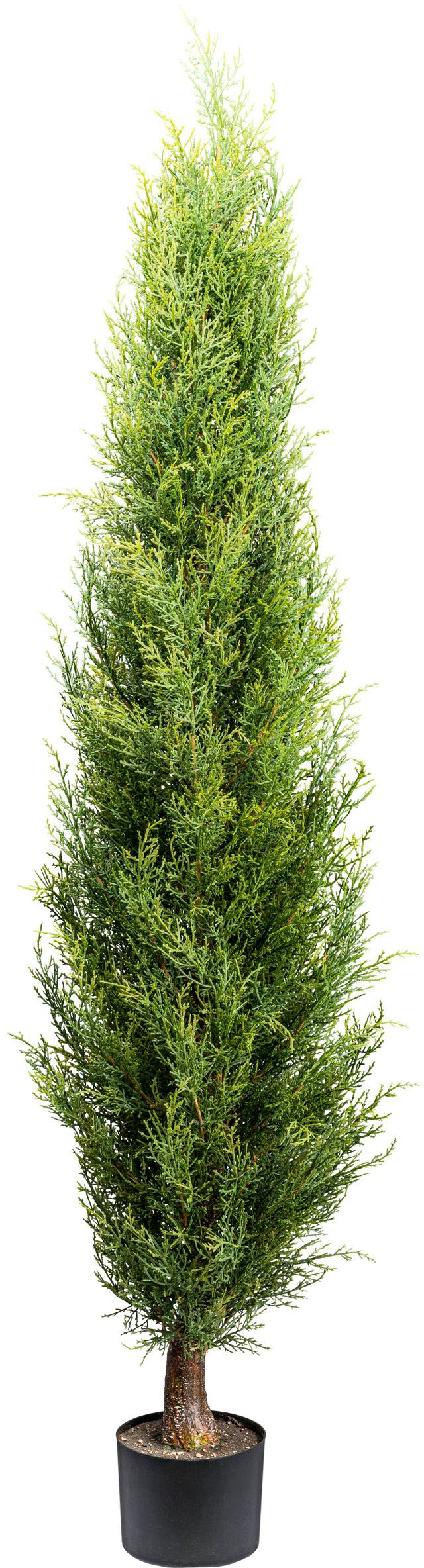 Creativ green Kunstbaum "Thuja Smaragd", in toller Größe günstig online kaufen