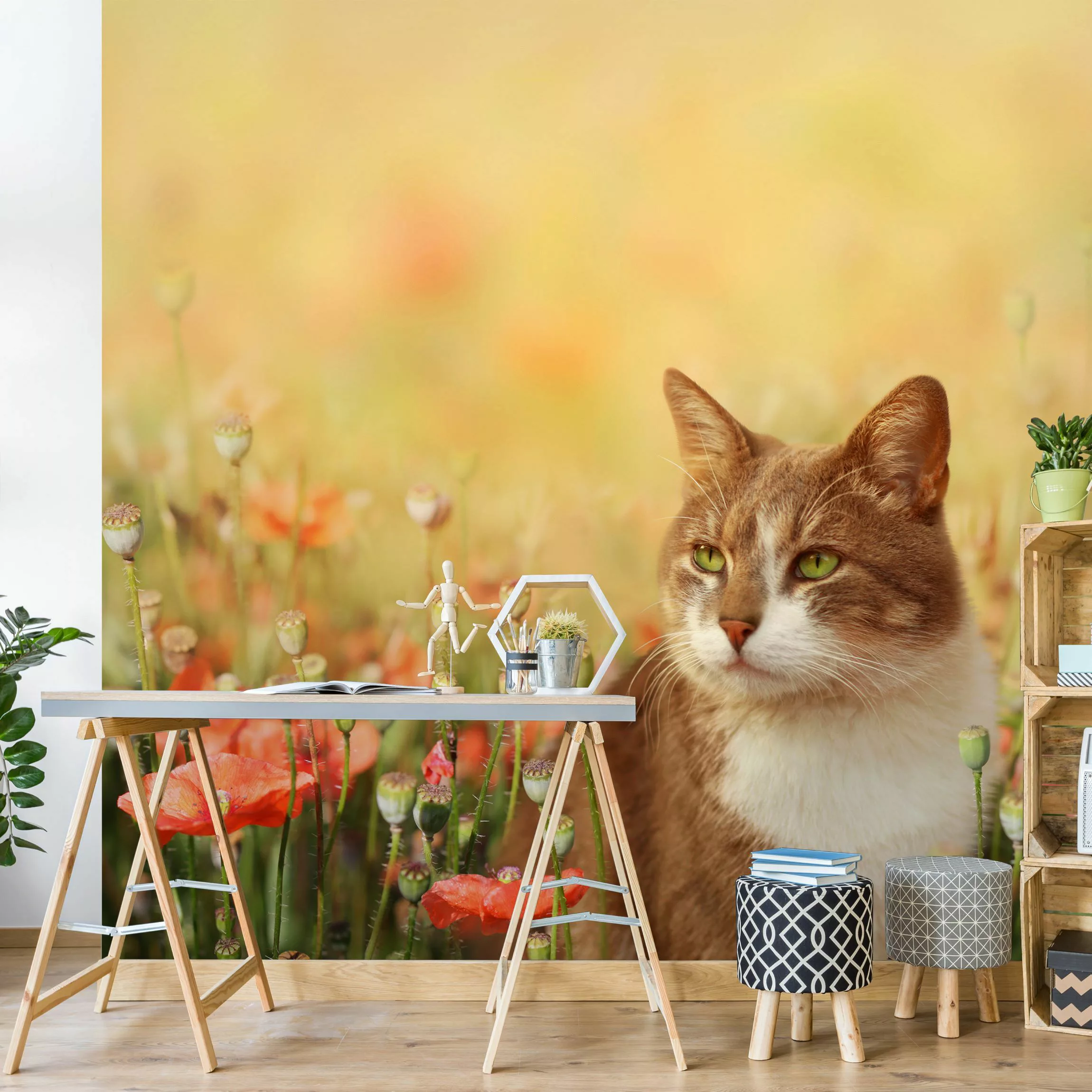 Bilderwelten Kindertapete Katze im Mohnfeld pastell Gr. 192 x 192 günstig online kaufen