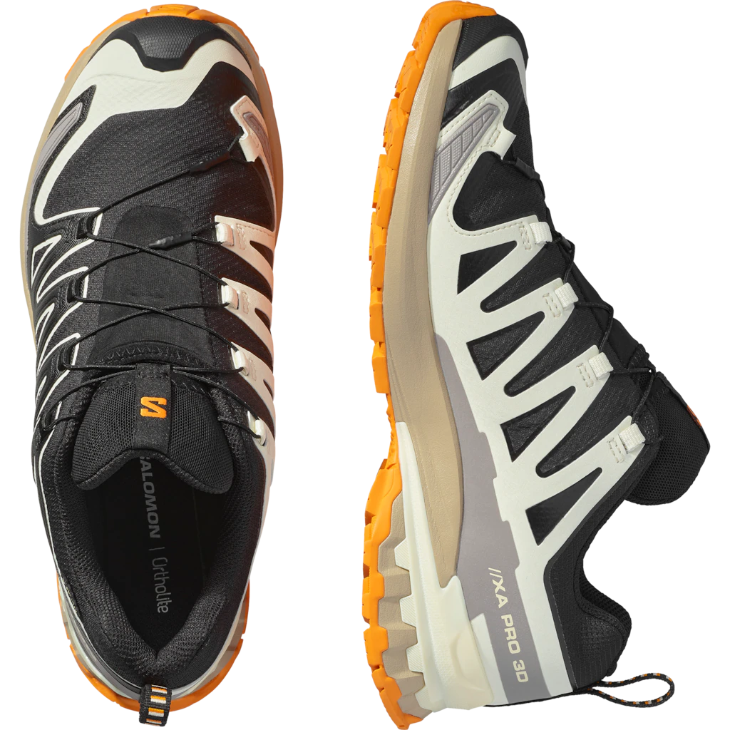 Salomon Laufschuh "XA PRO 3D V9 GORE-TEX", wasserdicht günstig online kaufen