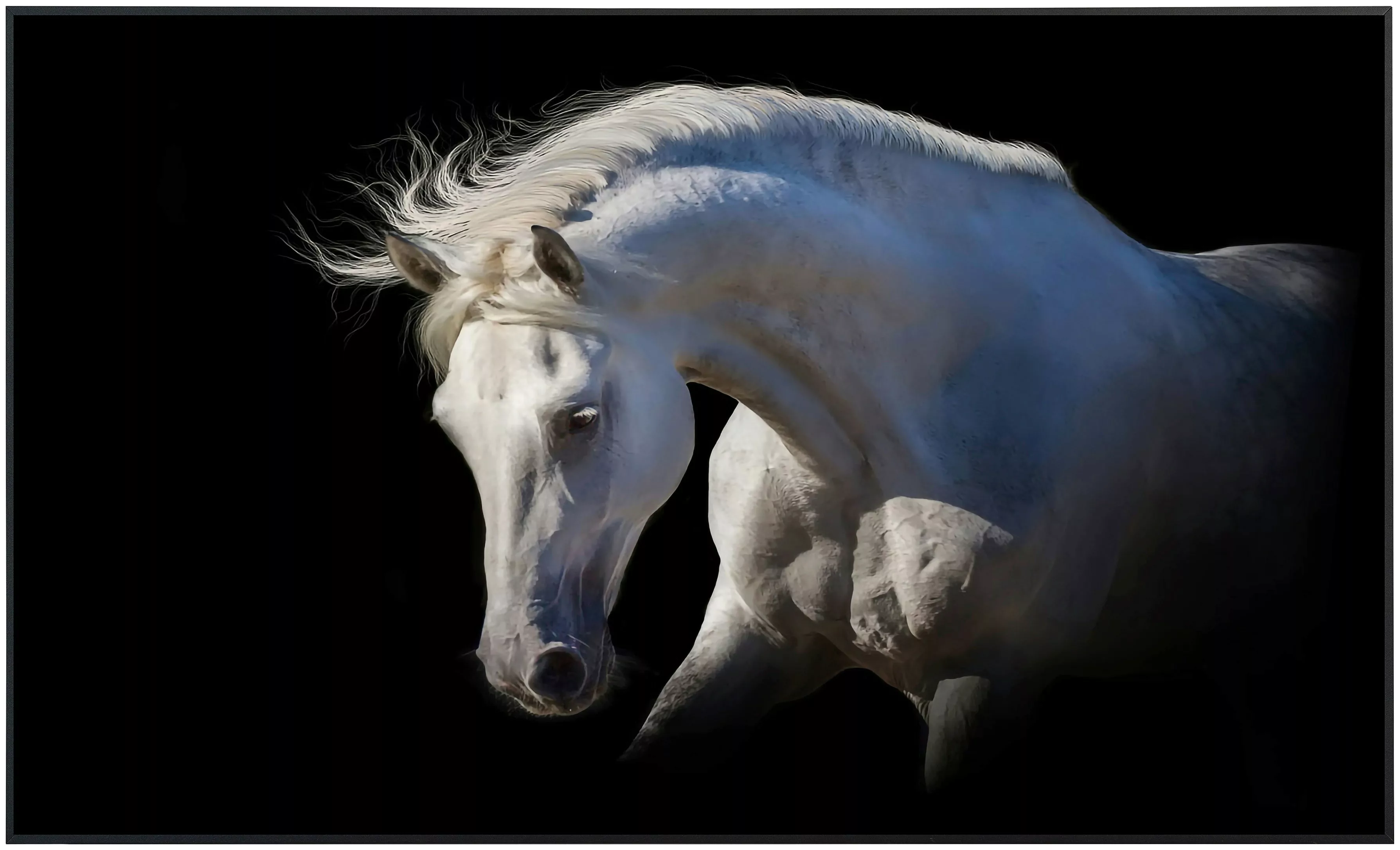 Papermoon Infrarotheizung »Weißes Pferd«, sehr angenehme Strahlungswärme günstig online kaufen
