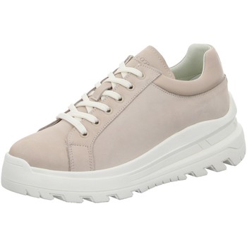 Marc O'Polo  Halbschuhe Schnuerschuhe light taupe 201-16943502-200-706 günstig online kaufen