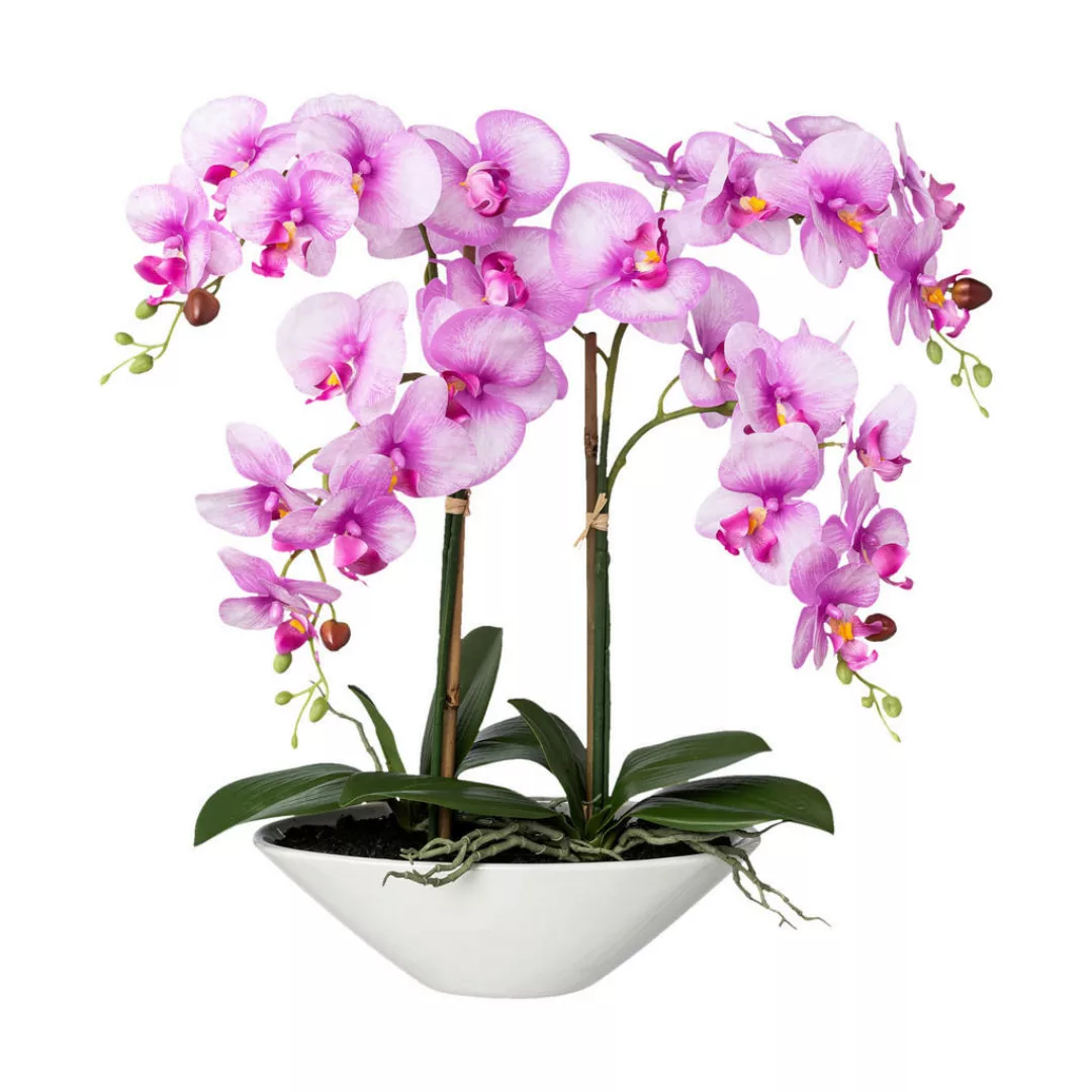 Kunstpflanze Phalaenopsis weiß Kunststoff B/H/L: ca. 40x60x20 cm günstig online kaufen