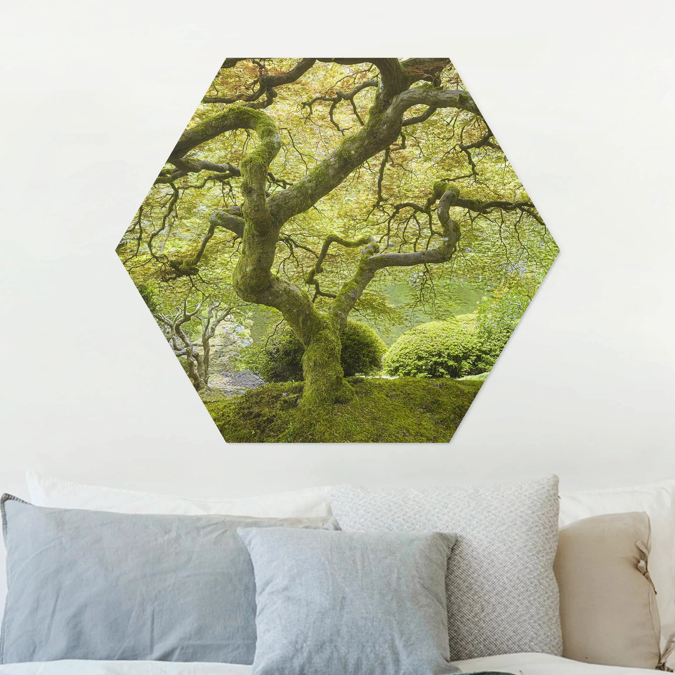 Hexagon-Alu-Dibond Bild Natur & Landschaft Grüner Japanischer Garten günstig online kaufen
