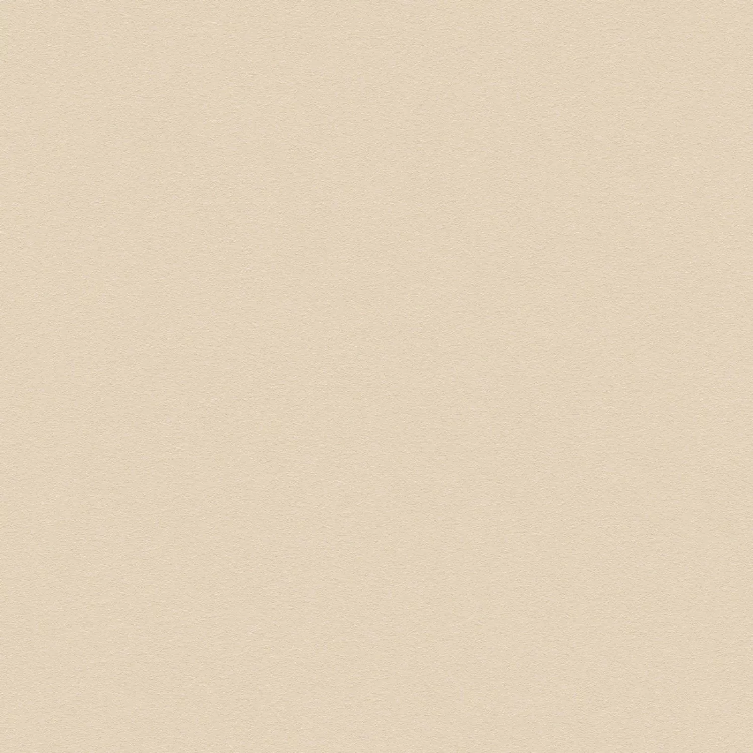 Tadessi Tapete Uni M1 No 2229 Vliestapete Beige Tapete Einfarbig Unitapete günstig online kaufen